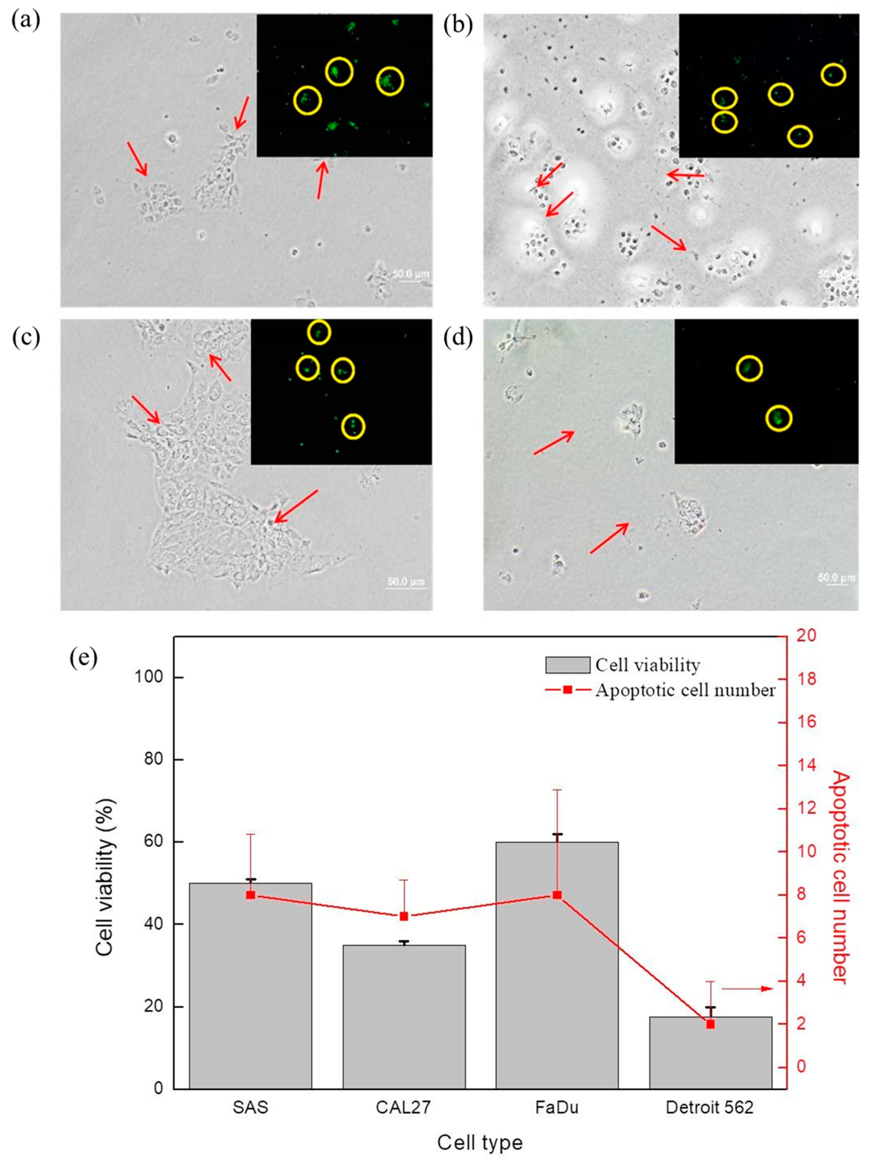 Coatings 11 01284 g005