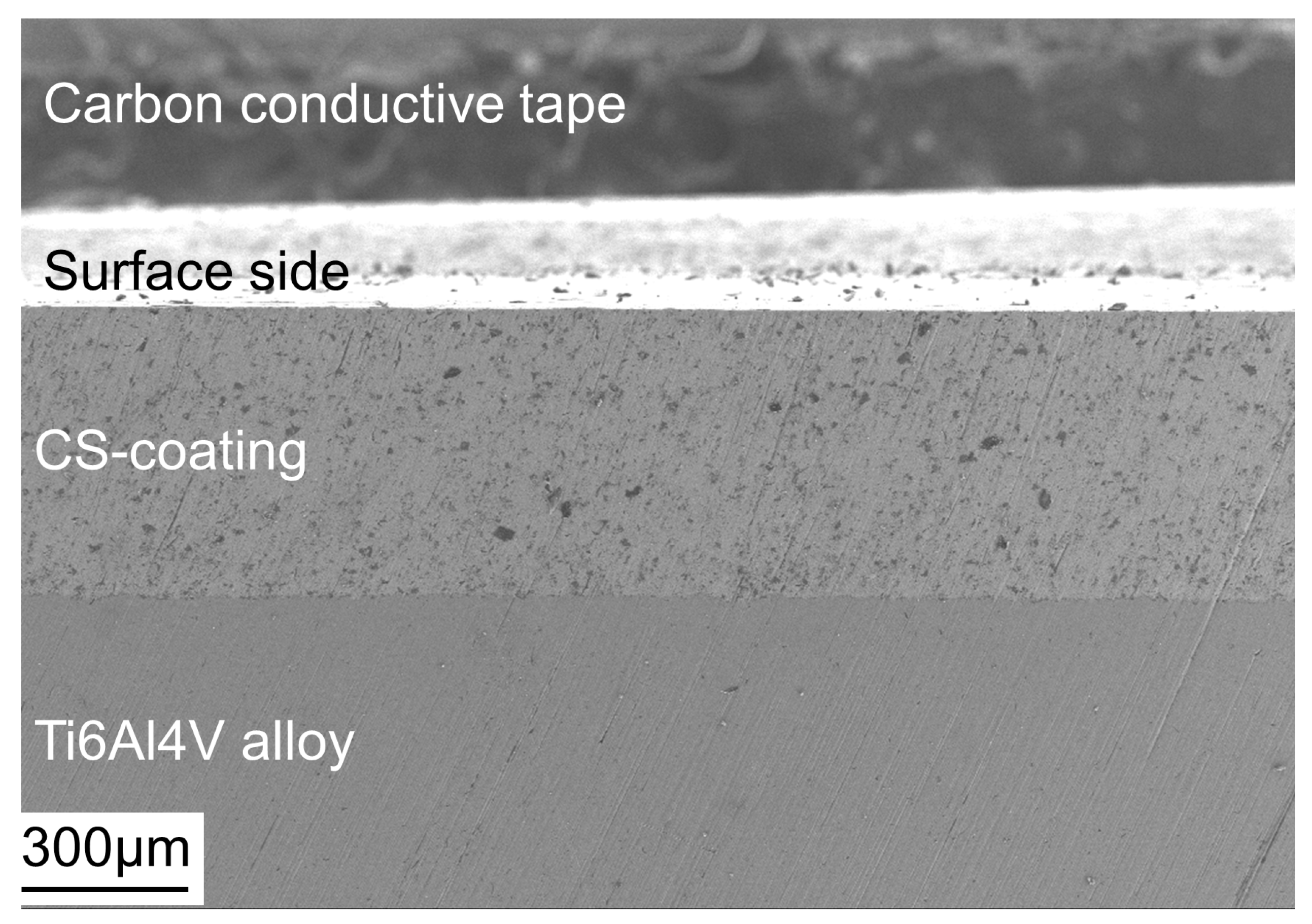 Coatings 11 01288 g001