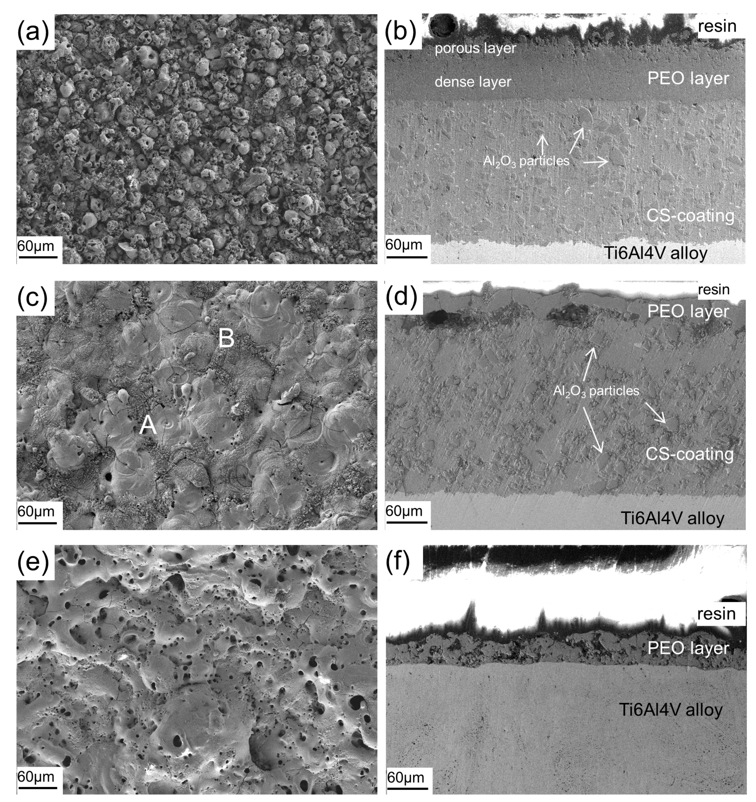 Coatings 11 01288 g004