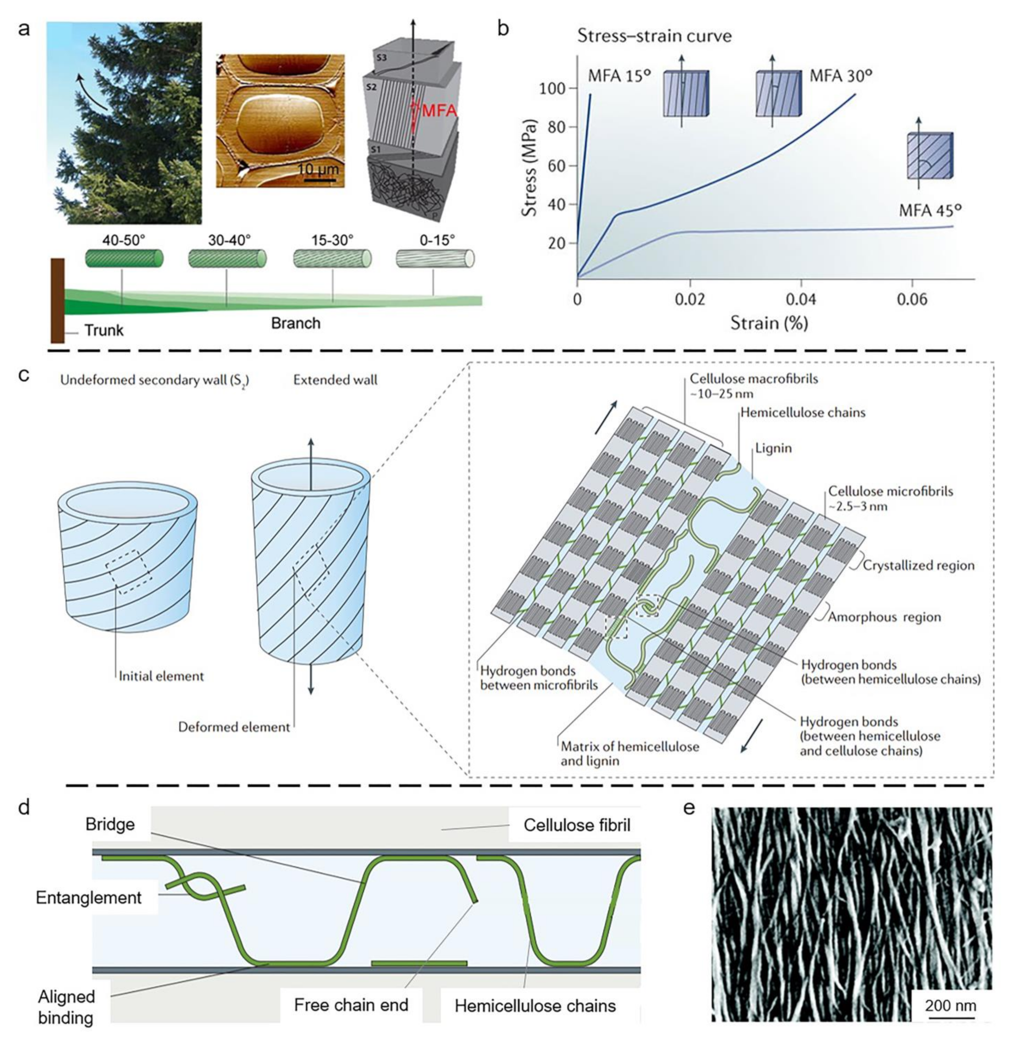 Coatings 11 01297 g003