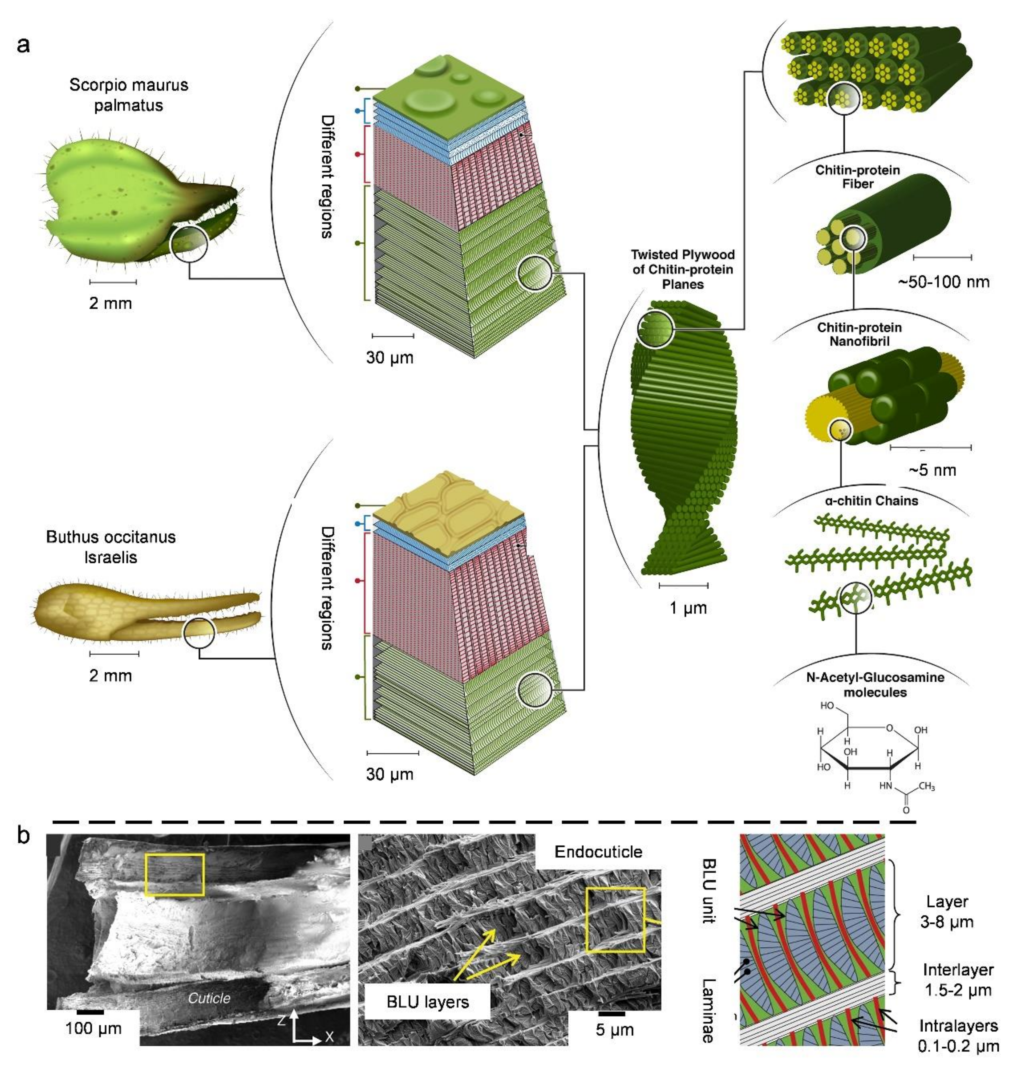 Coatings 11 01297 g006