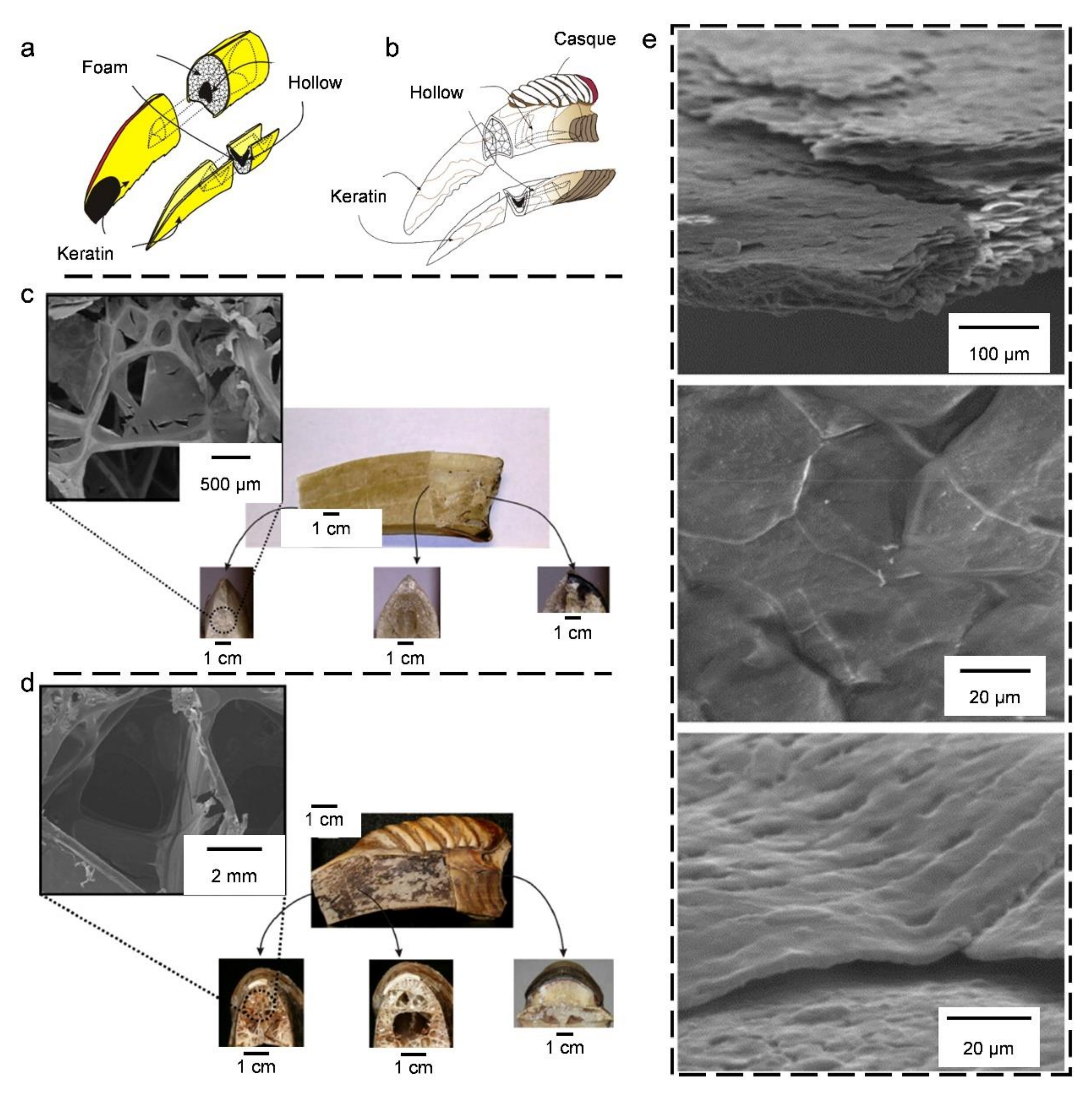 Coatings 11 01297 g007