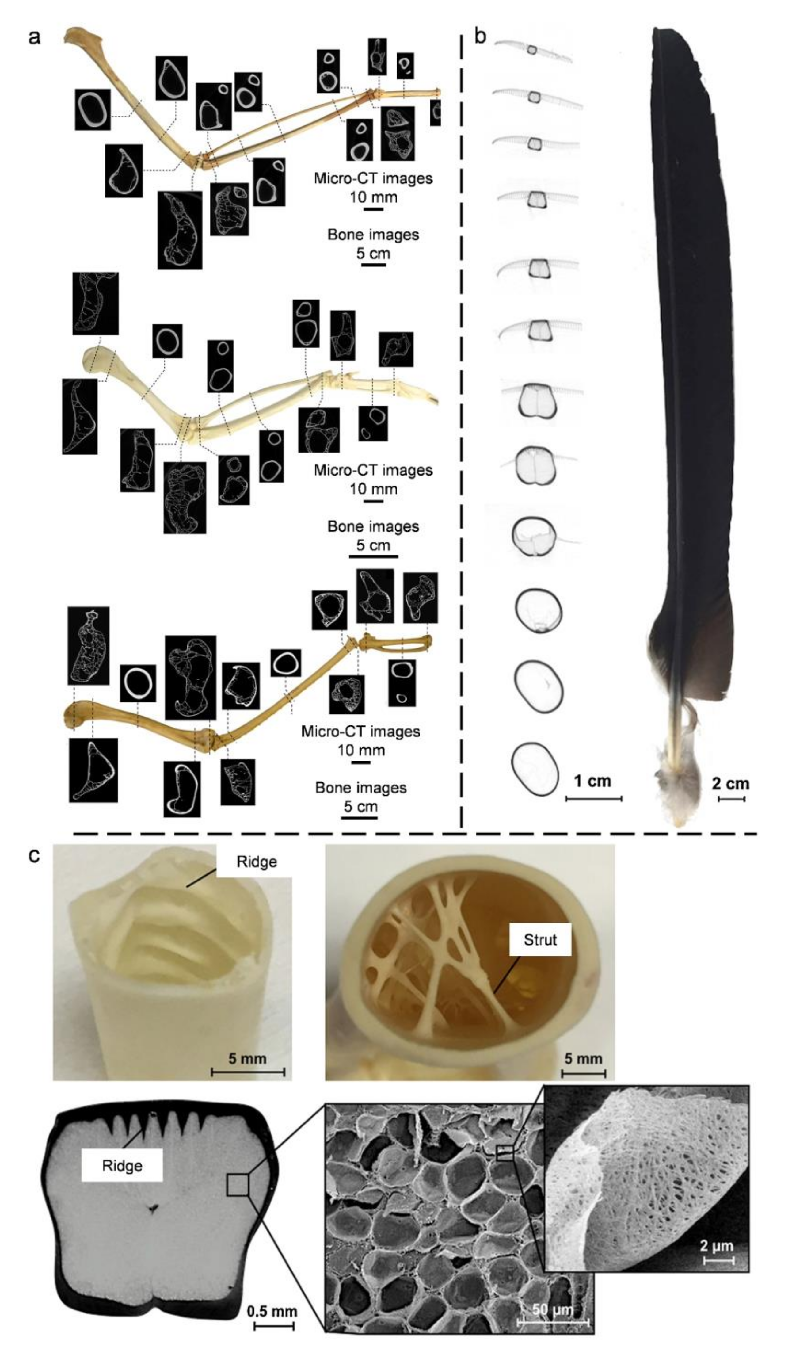 Coatings 11 01297 g008