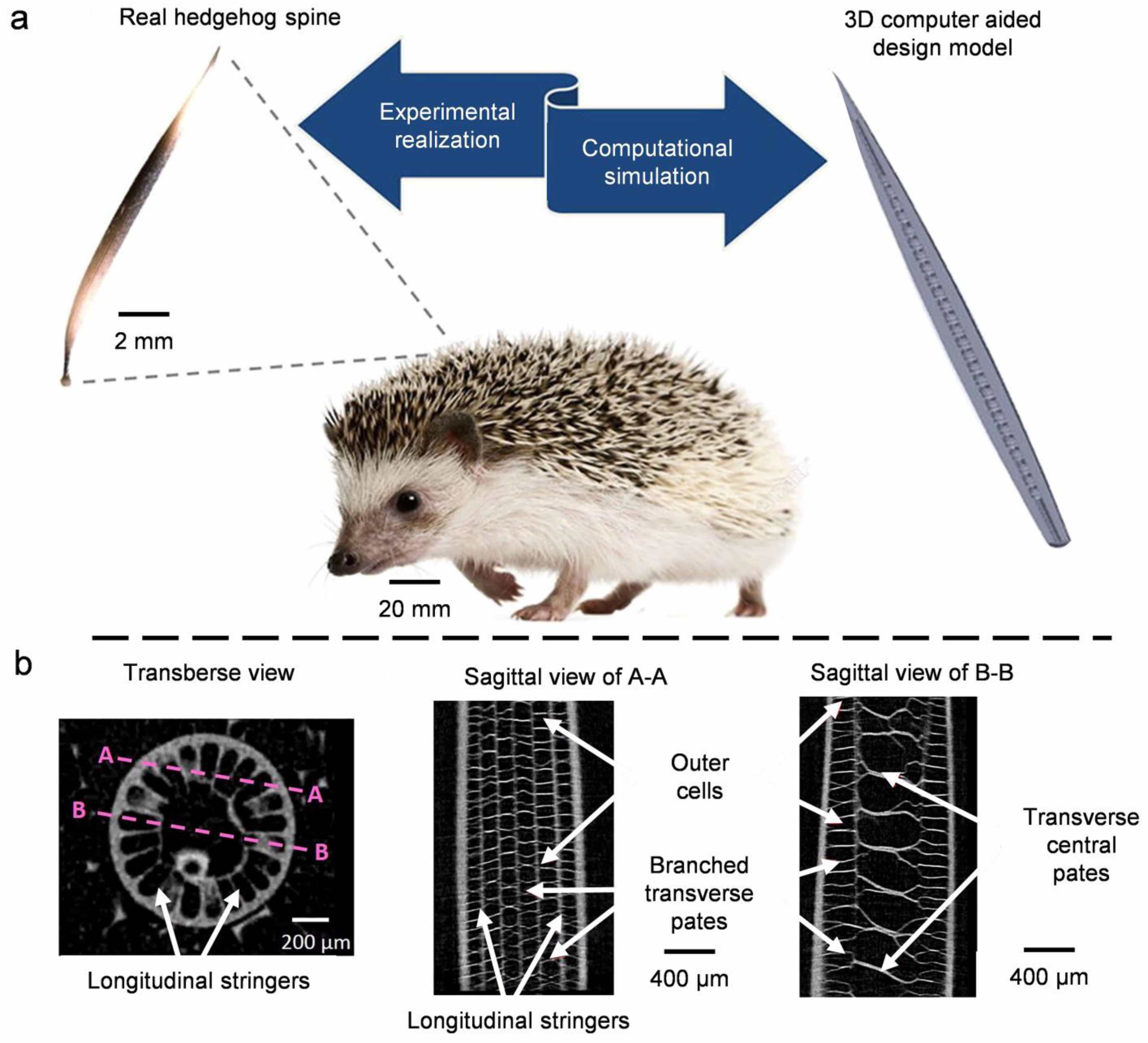 Coatings 11 01297 g009