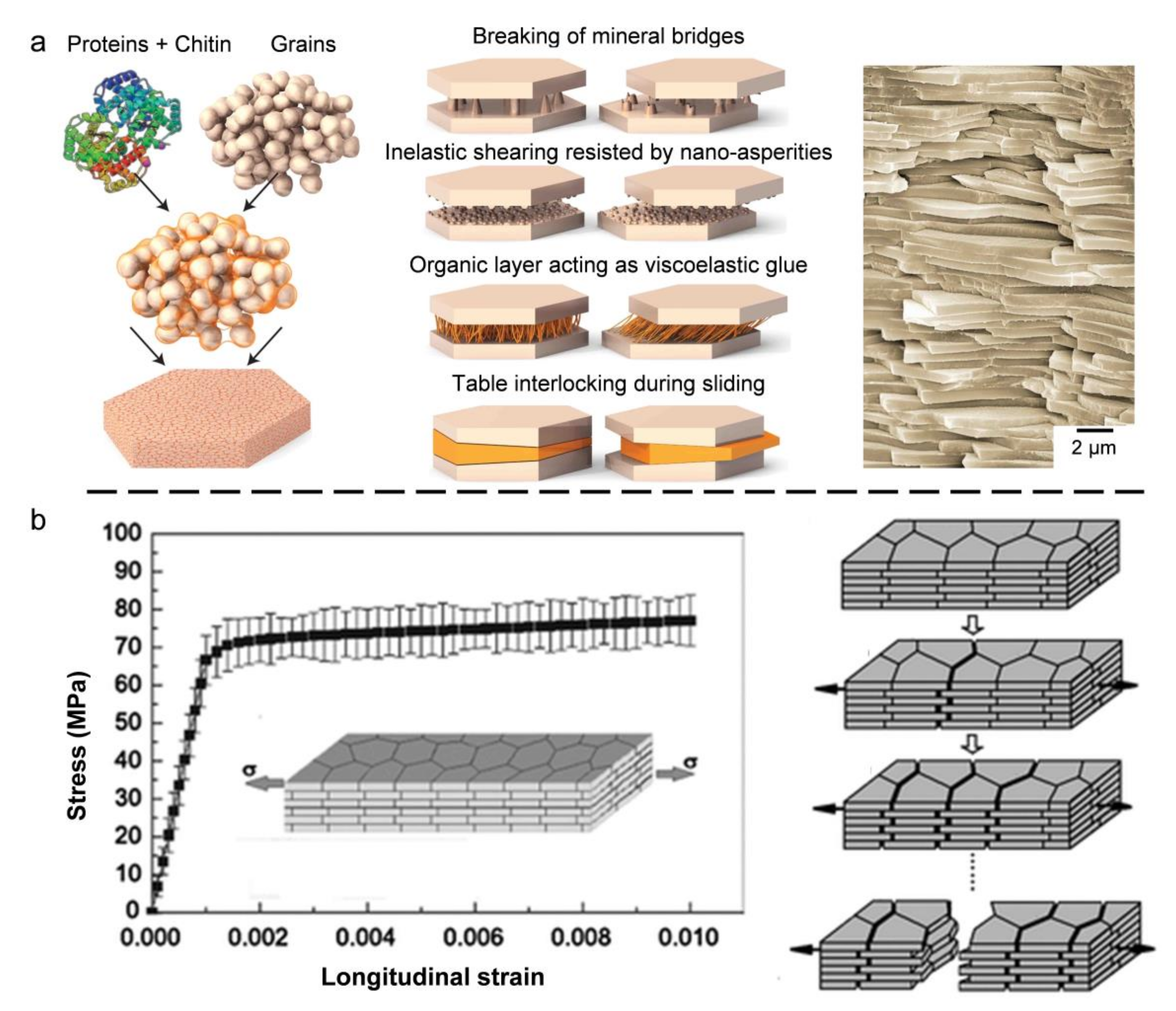 Coatings 11 01297 g010