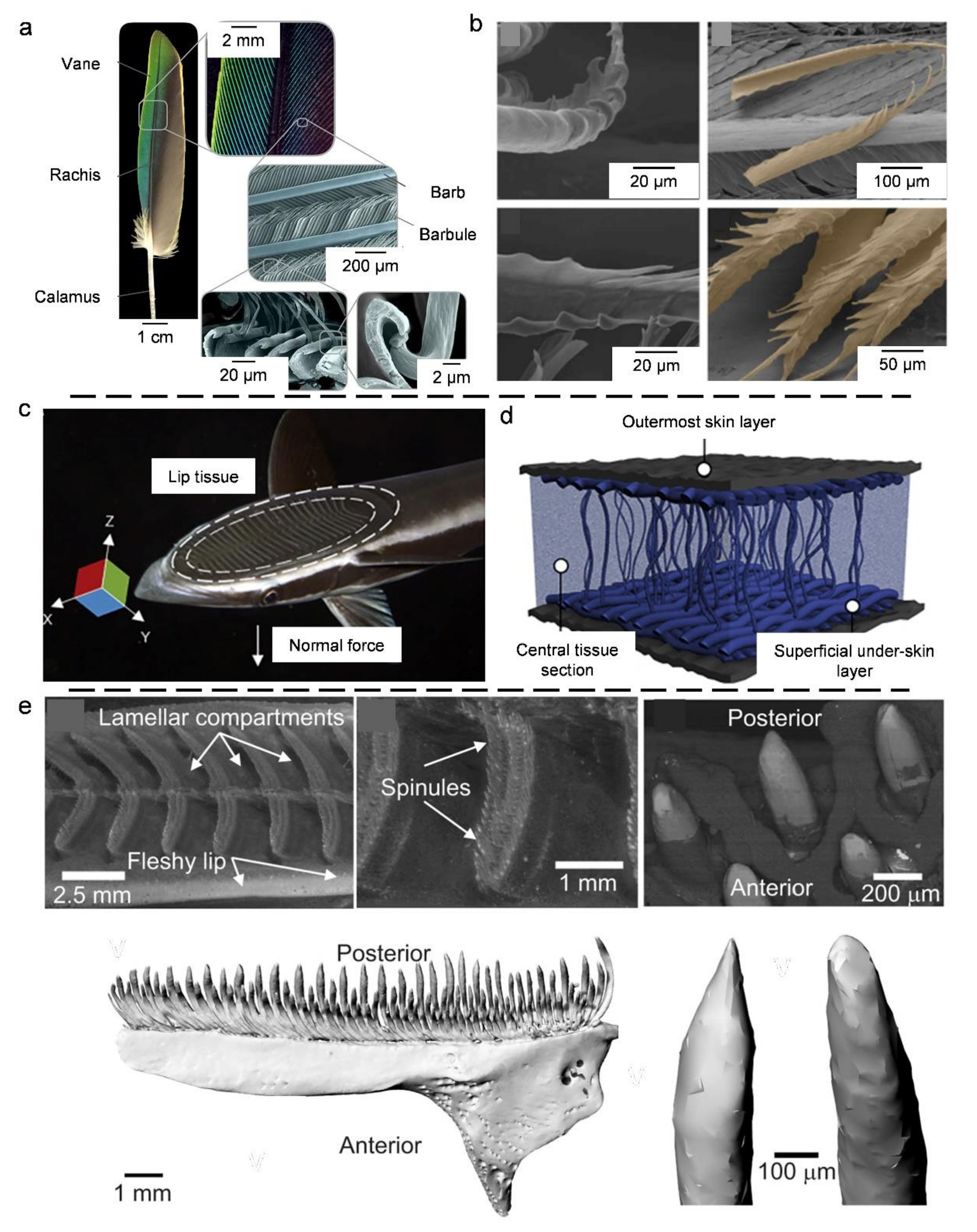 Coatings 11 01297 g011