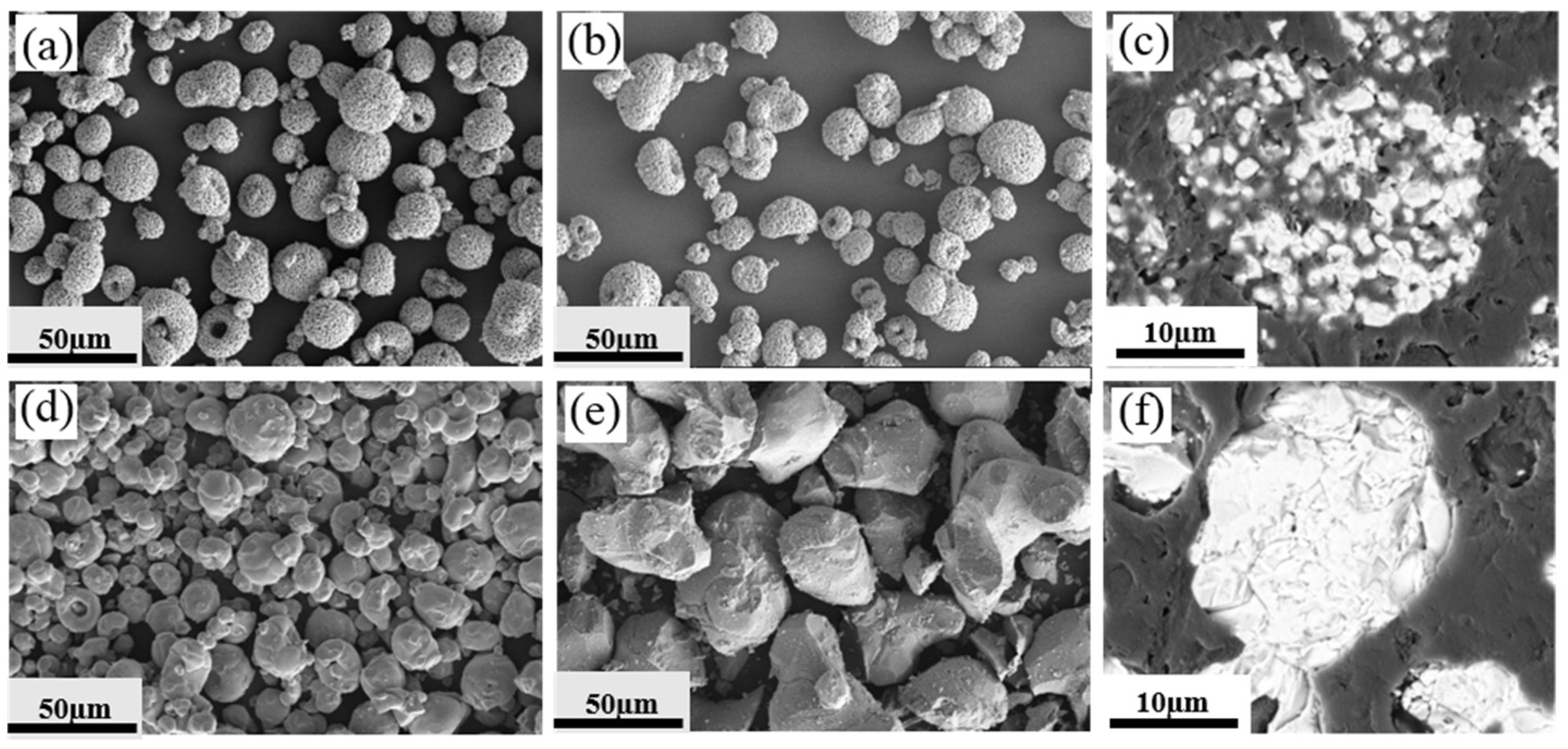 Coatings 11 01298 g006 550