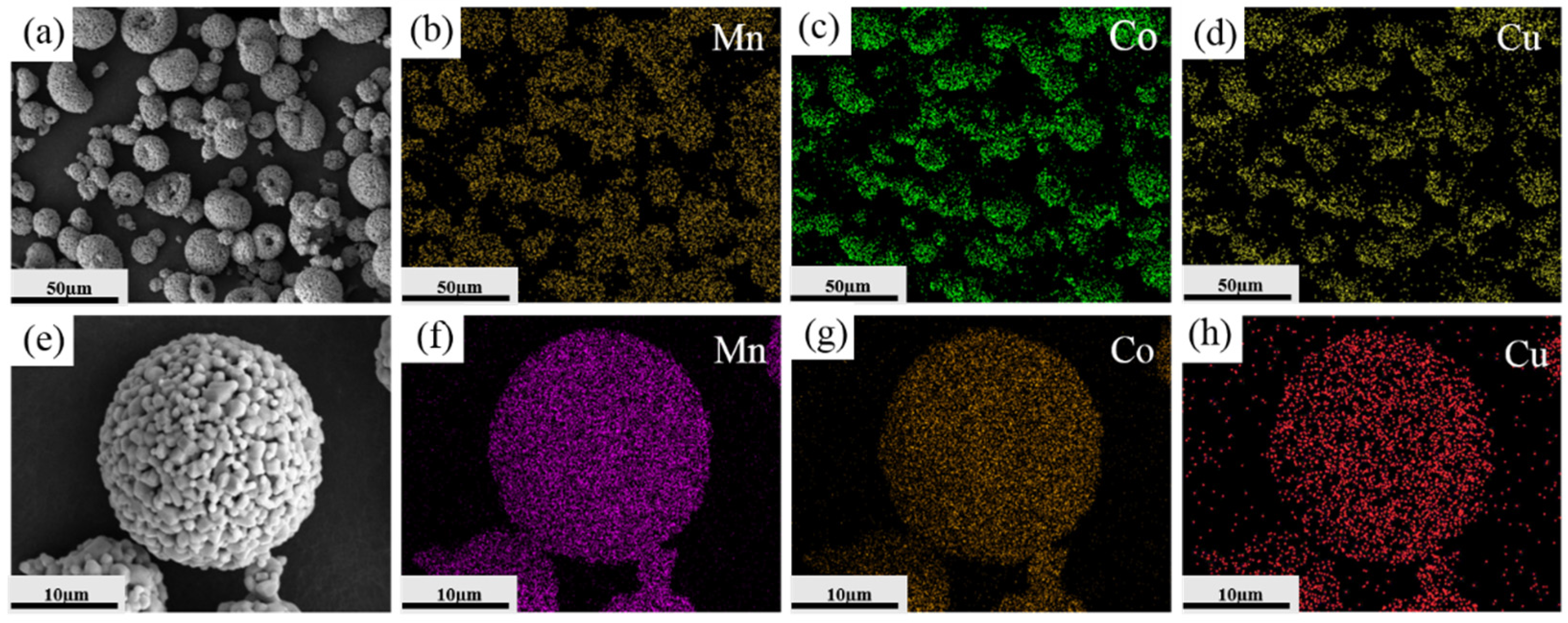 Coatings 11 01298 g007 550