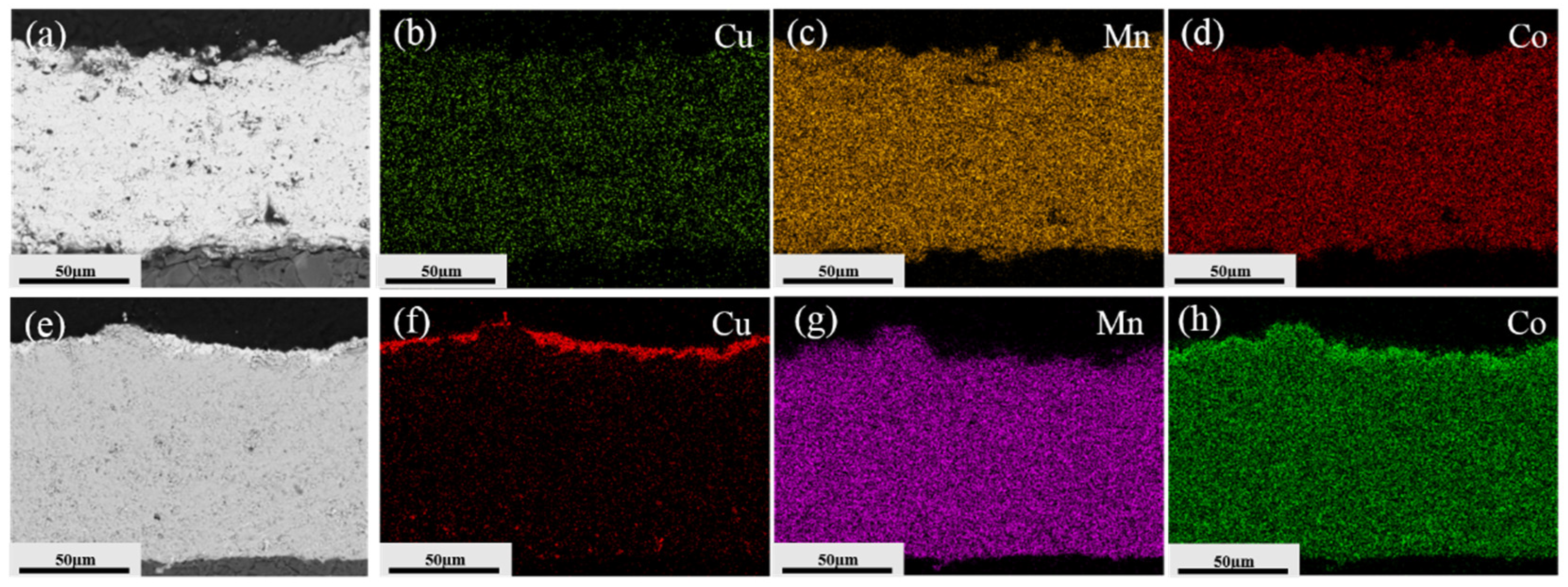Coatings 11 01298 g012 550