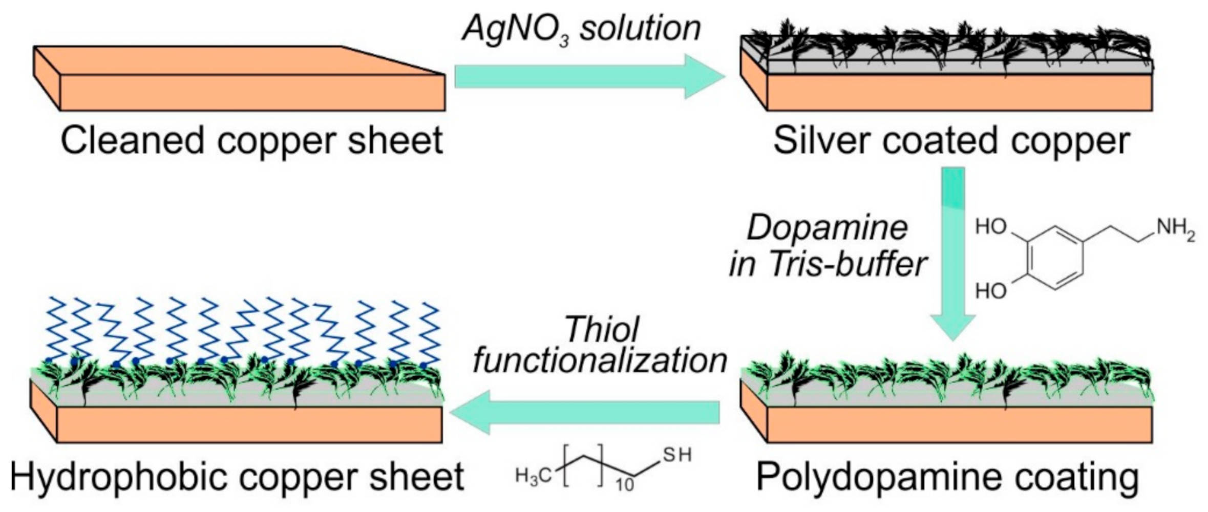 Coatings 11 01299 g001
