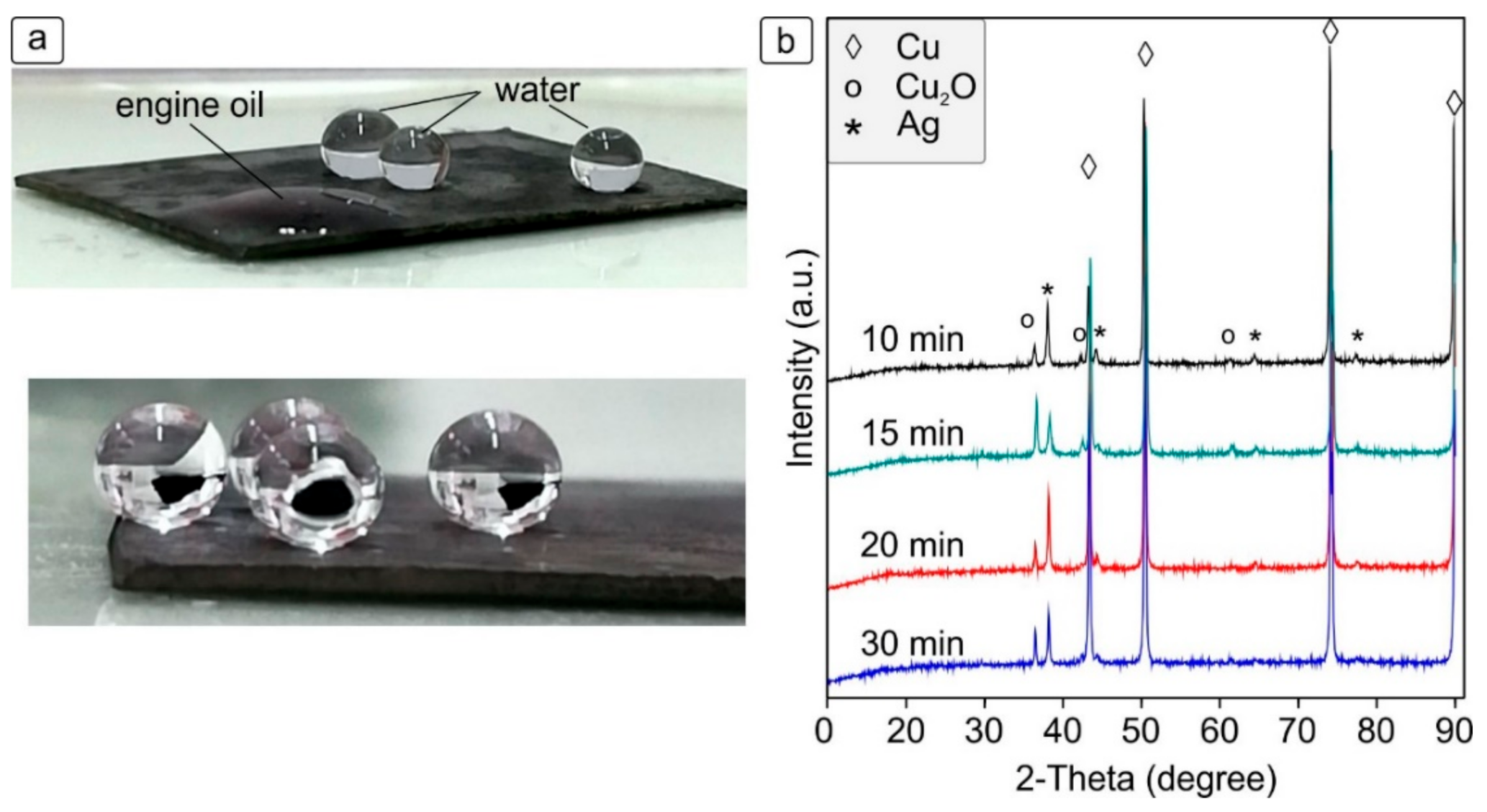 Coatings 11 01299 g005