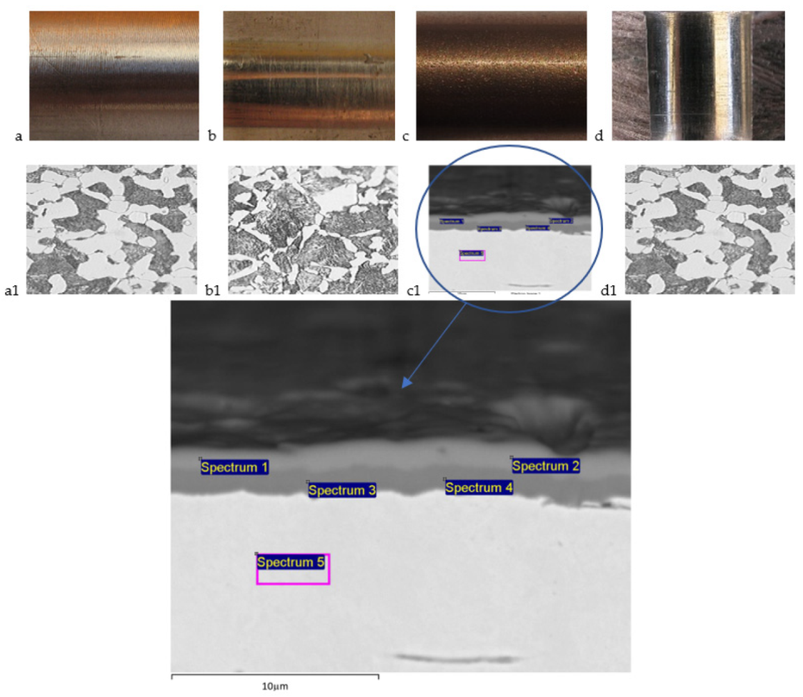 Coatings 11 01305 g002 550