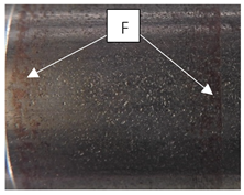 Coatings 11 01305 i006