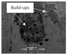 Coatings 11 01305 i010