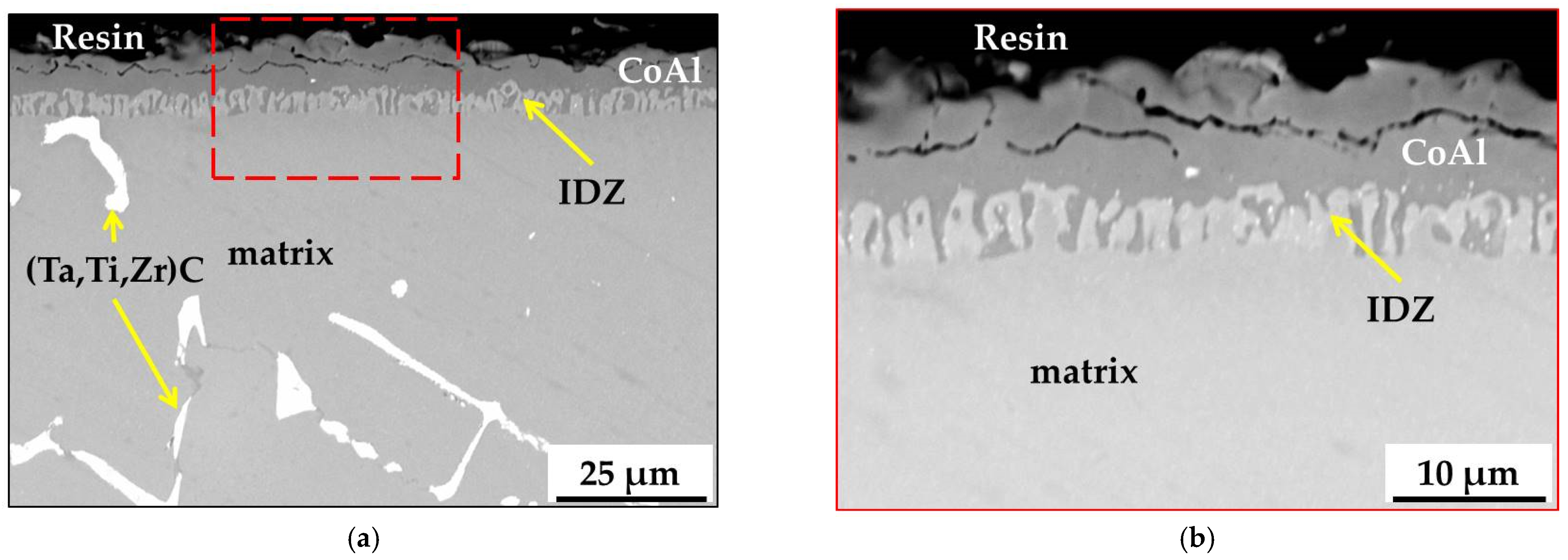 Coatings 11 01306 g003 550