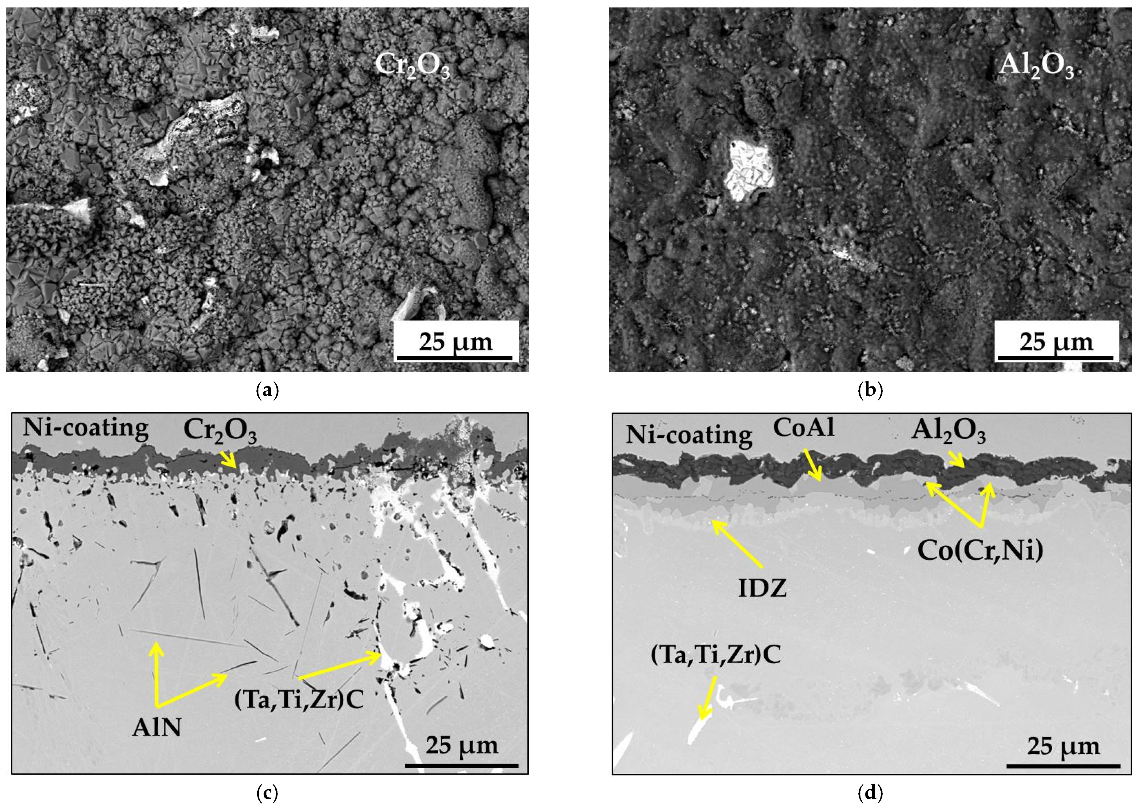 Coatings 11 01306 g006 550