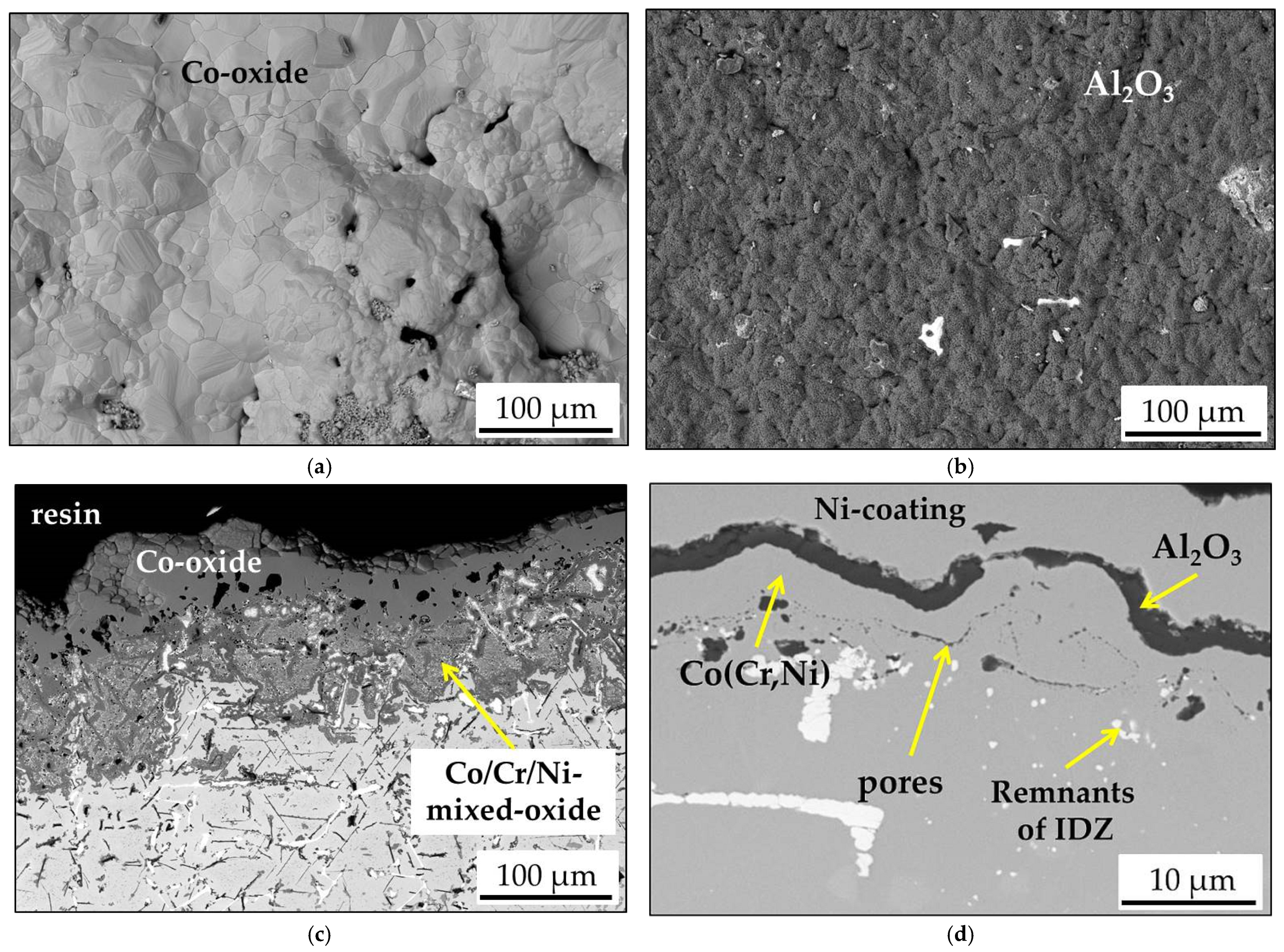 Coatings 11 01306 g008 550
