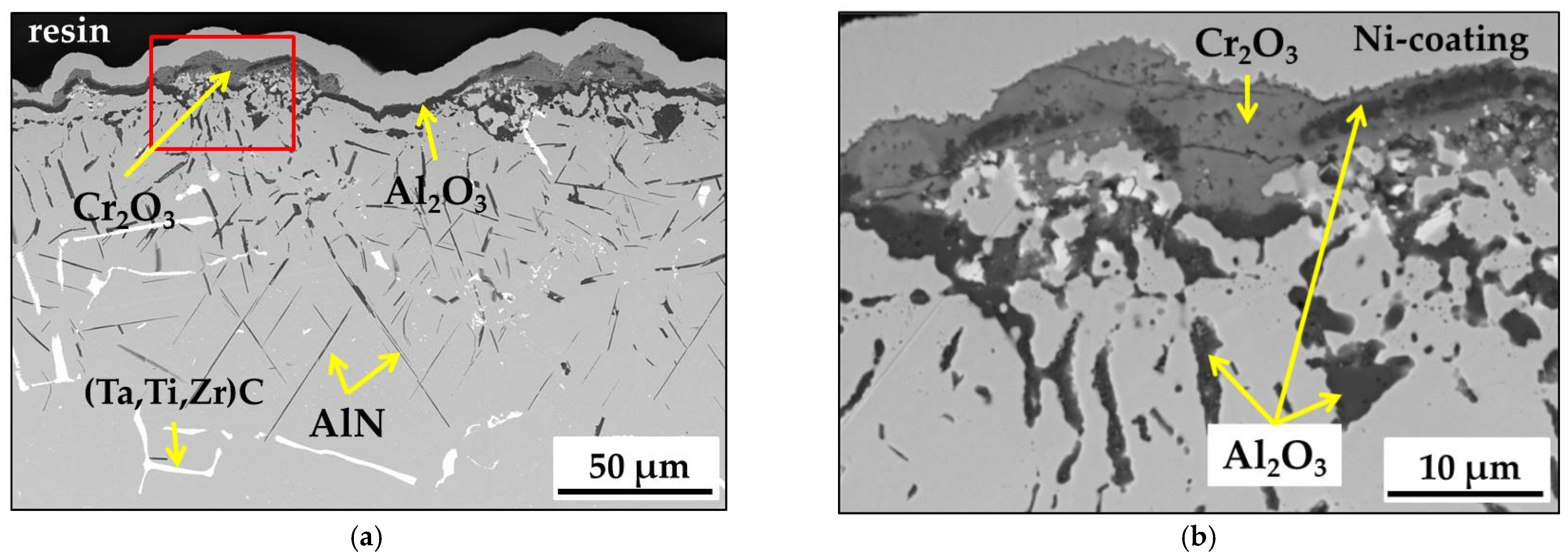 Coatings 11 01306 g010 550