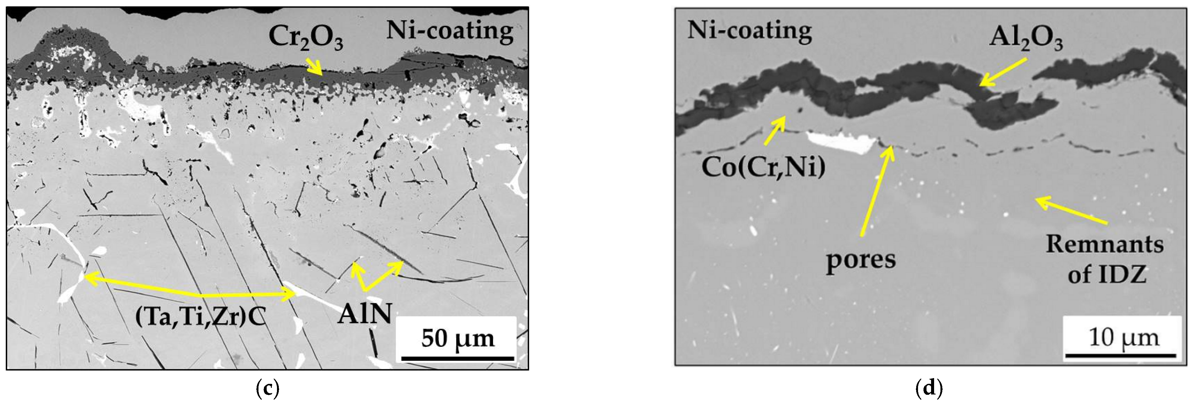 Coatings 11 01306 g012b 550