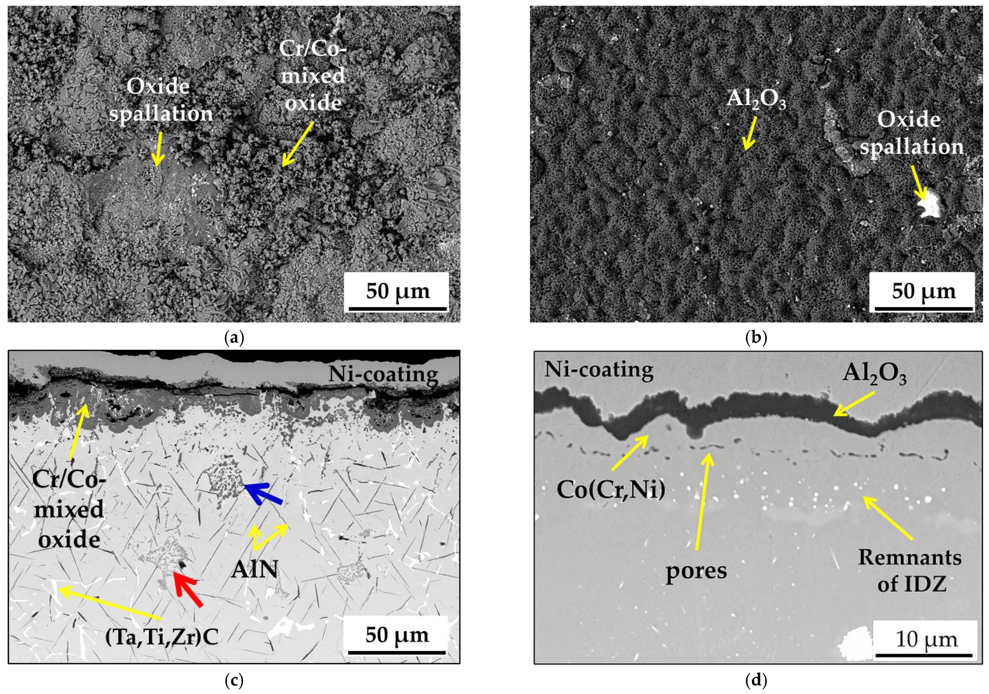Coatings 11 01306 g014 550