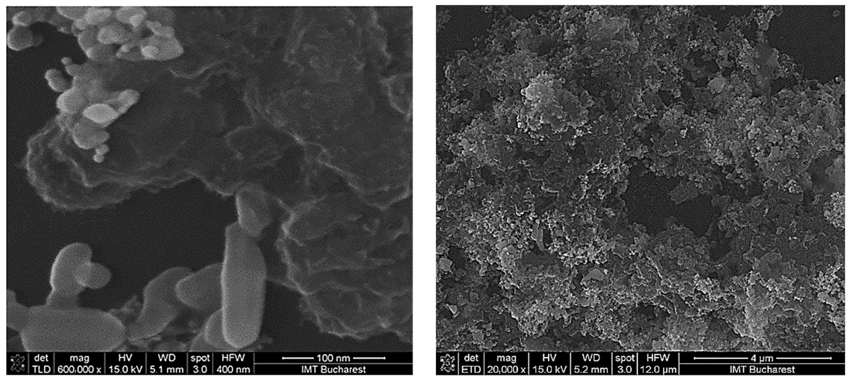 Coatings 11 01307 g002