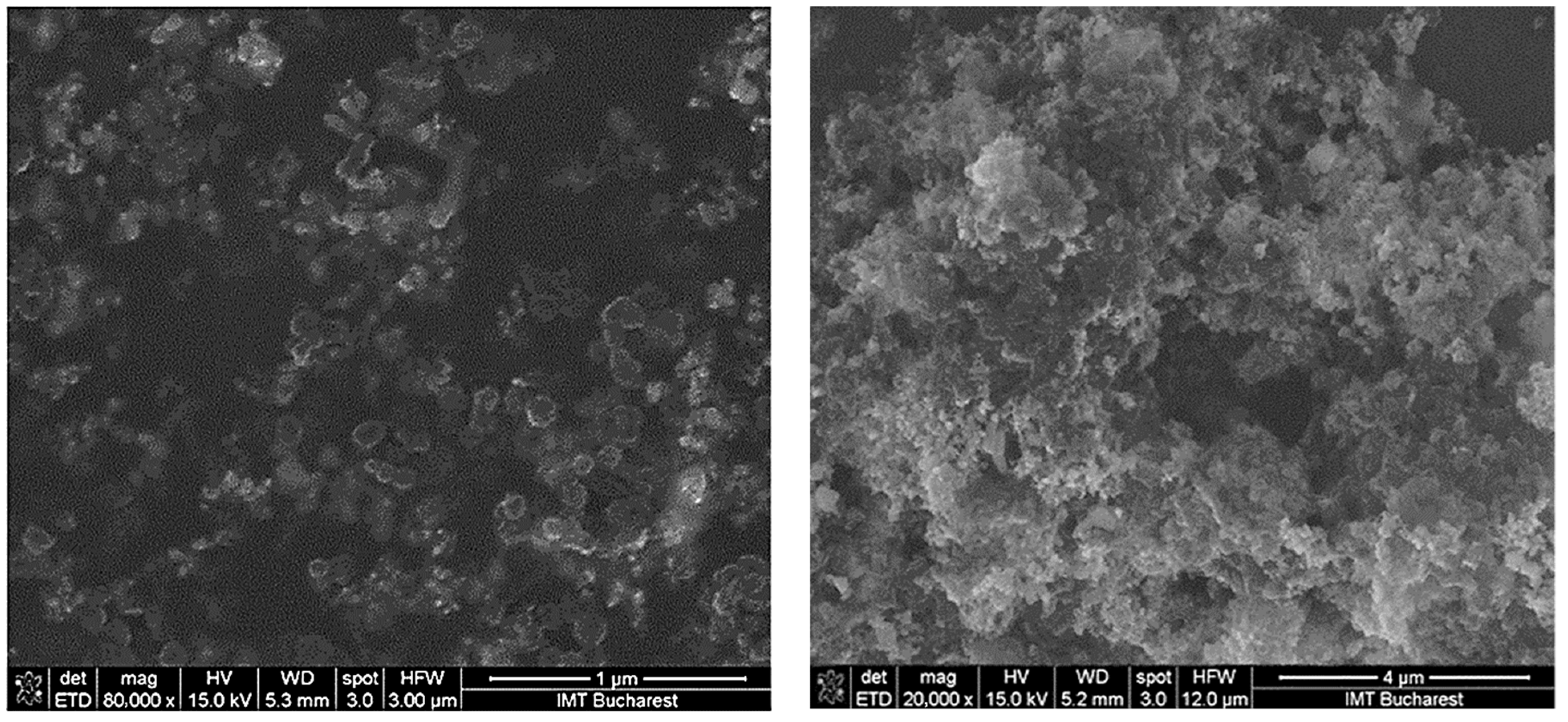 Coatings 11 01307 g003