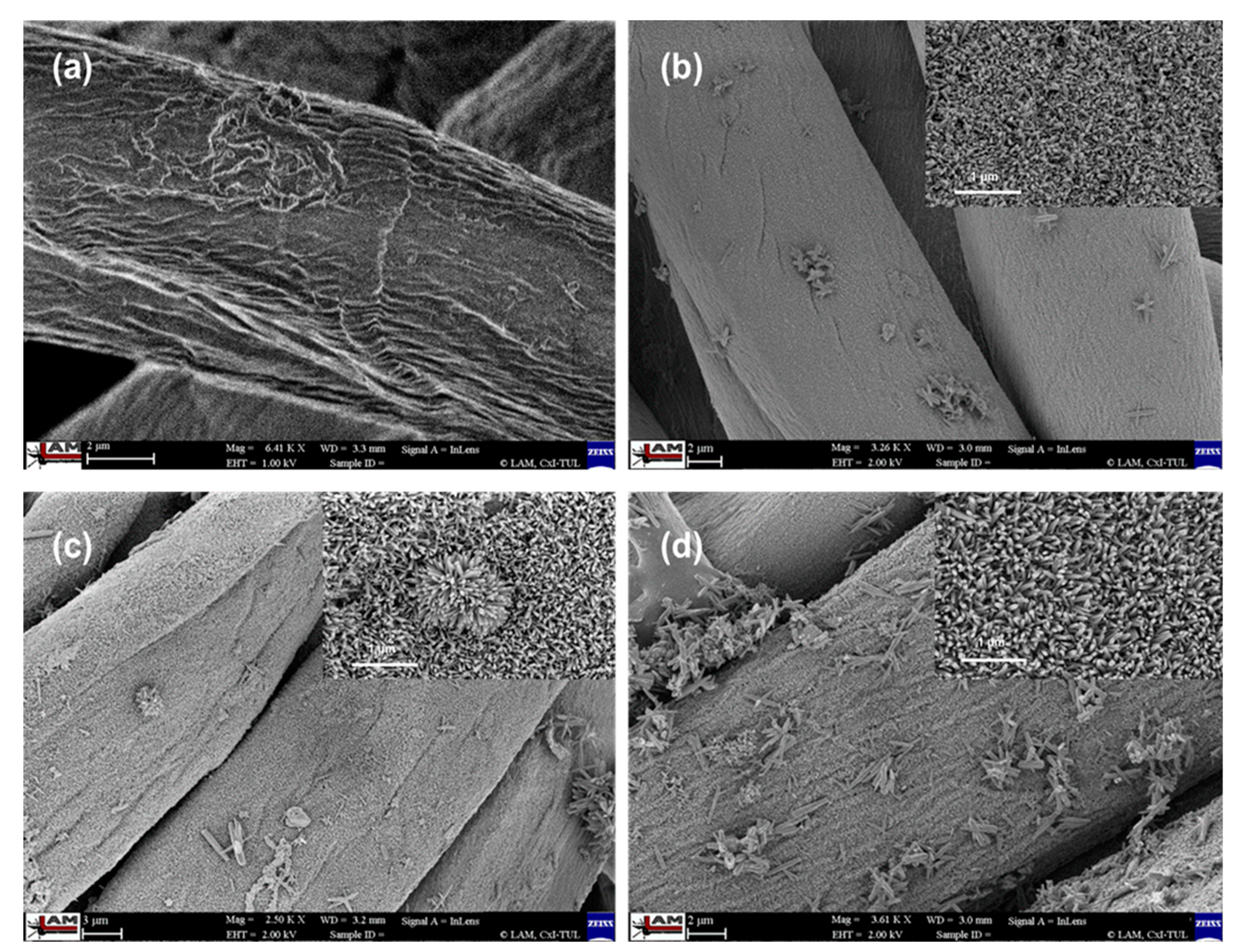 Coatings 11 01309 g002