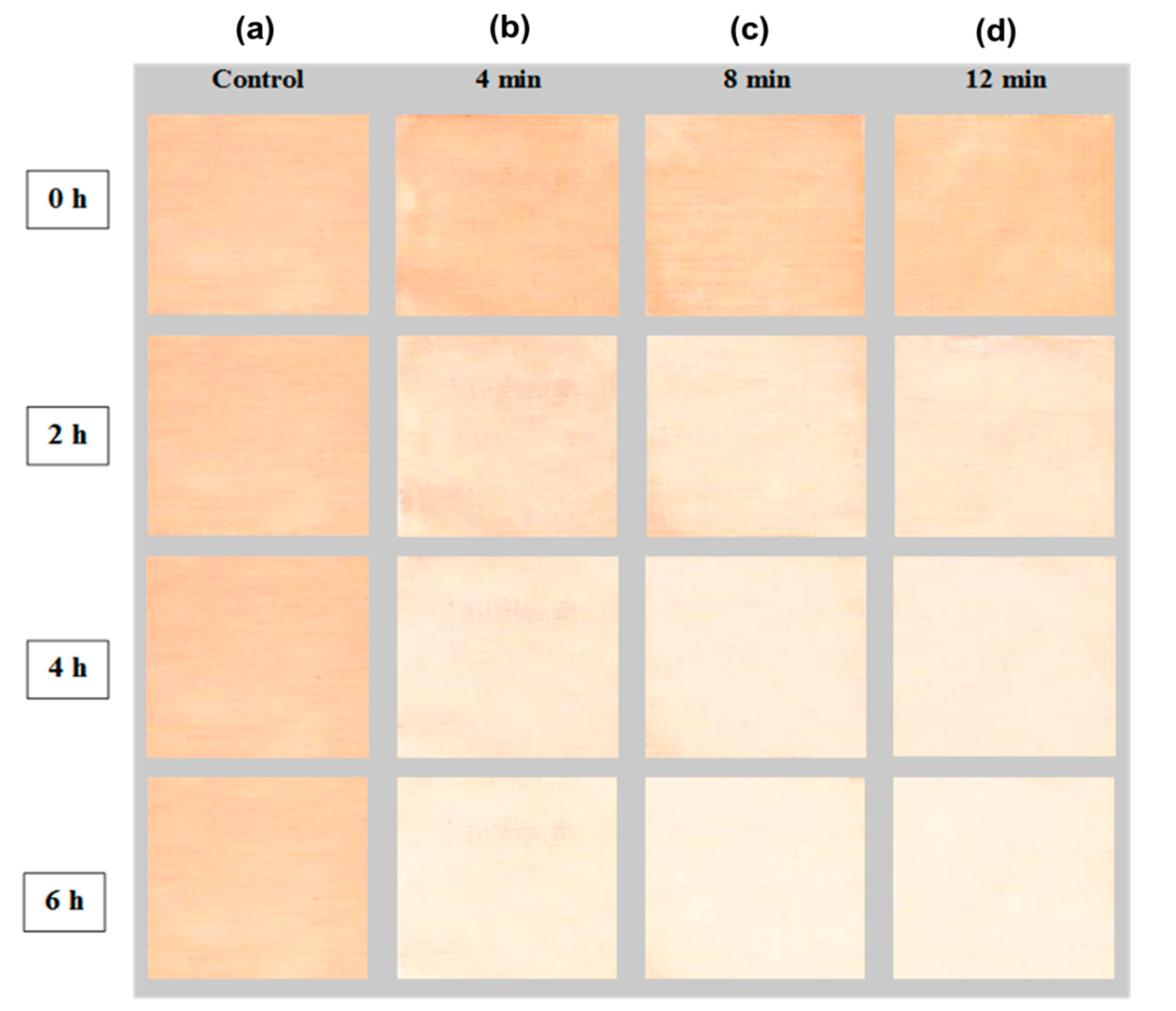 Coatings 11 01309 g006