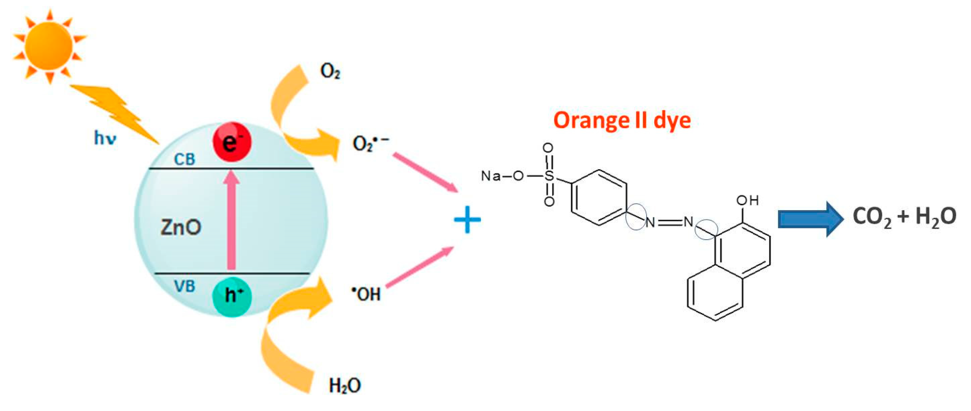 Coatings 11 01309 g008