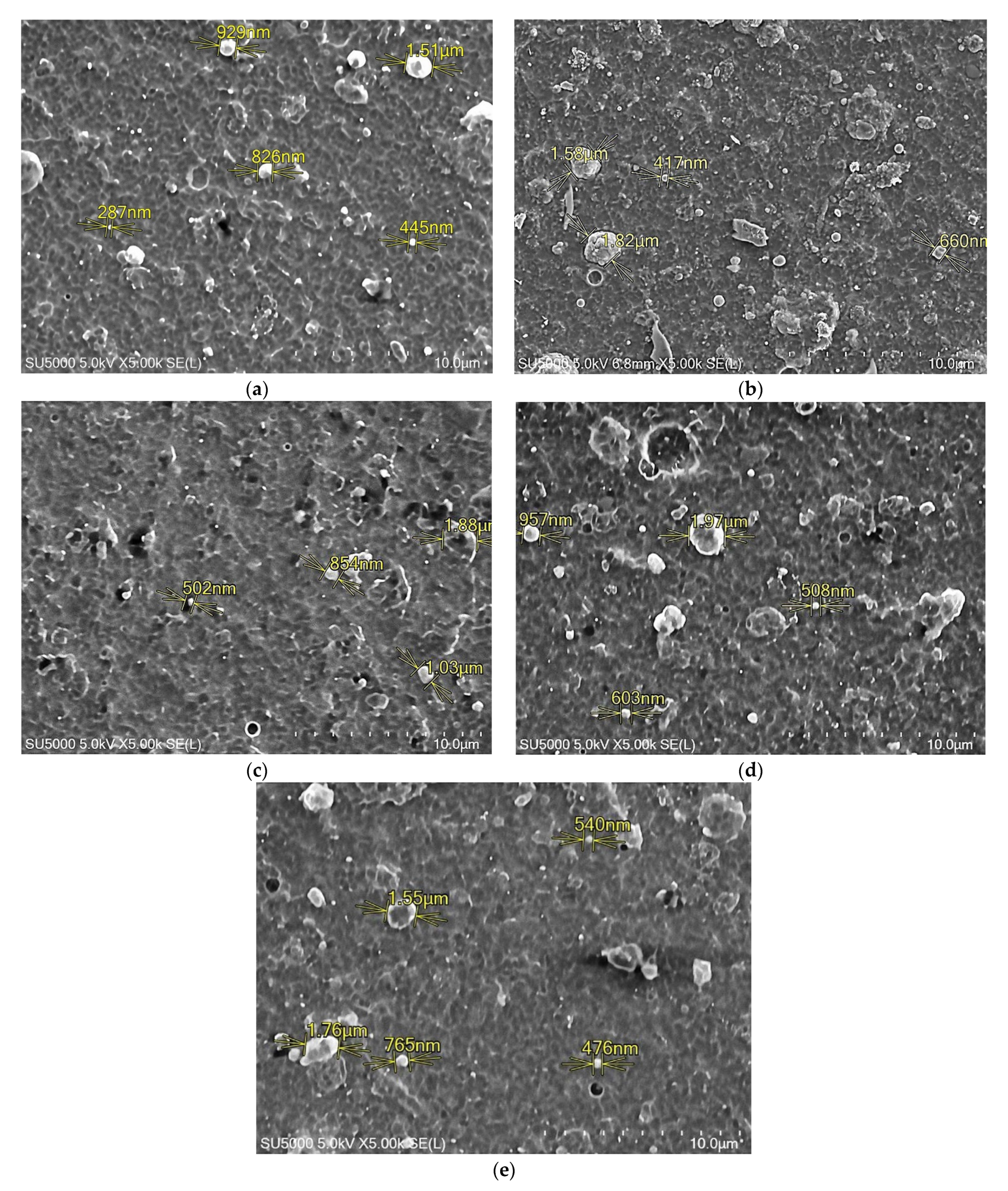 Coatings 11 01311 g003