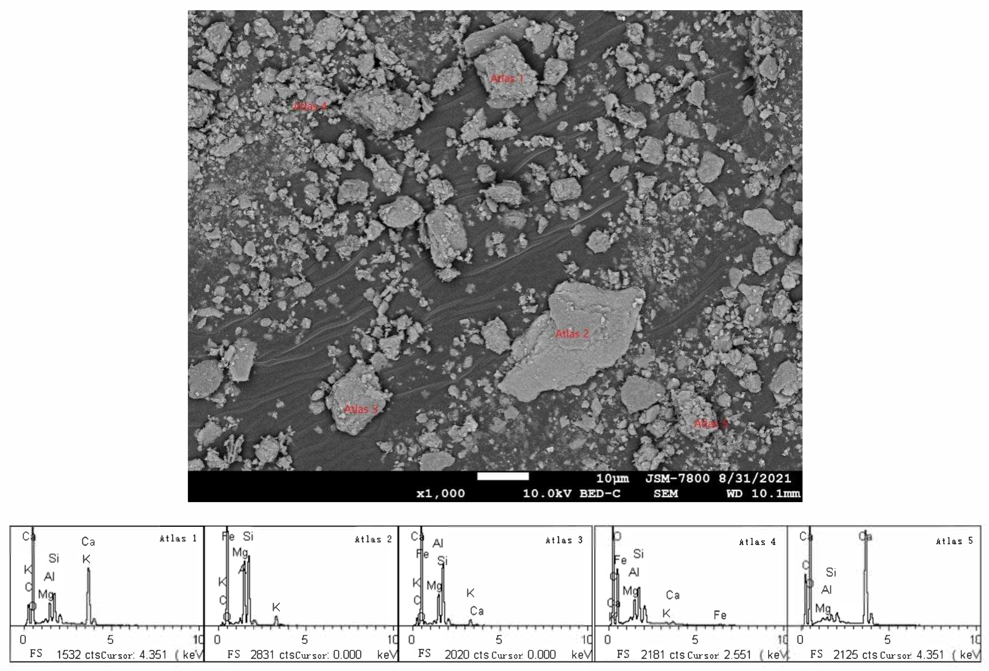 Coatings 11 01314 g003
