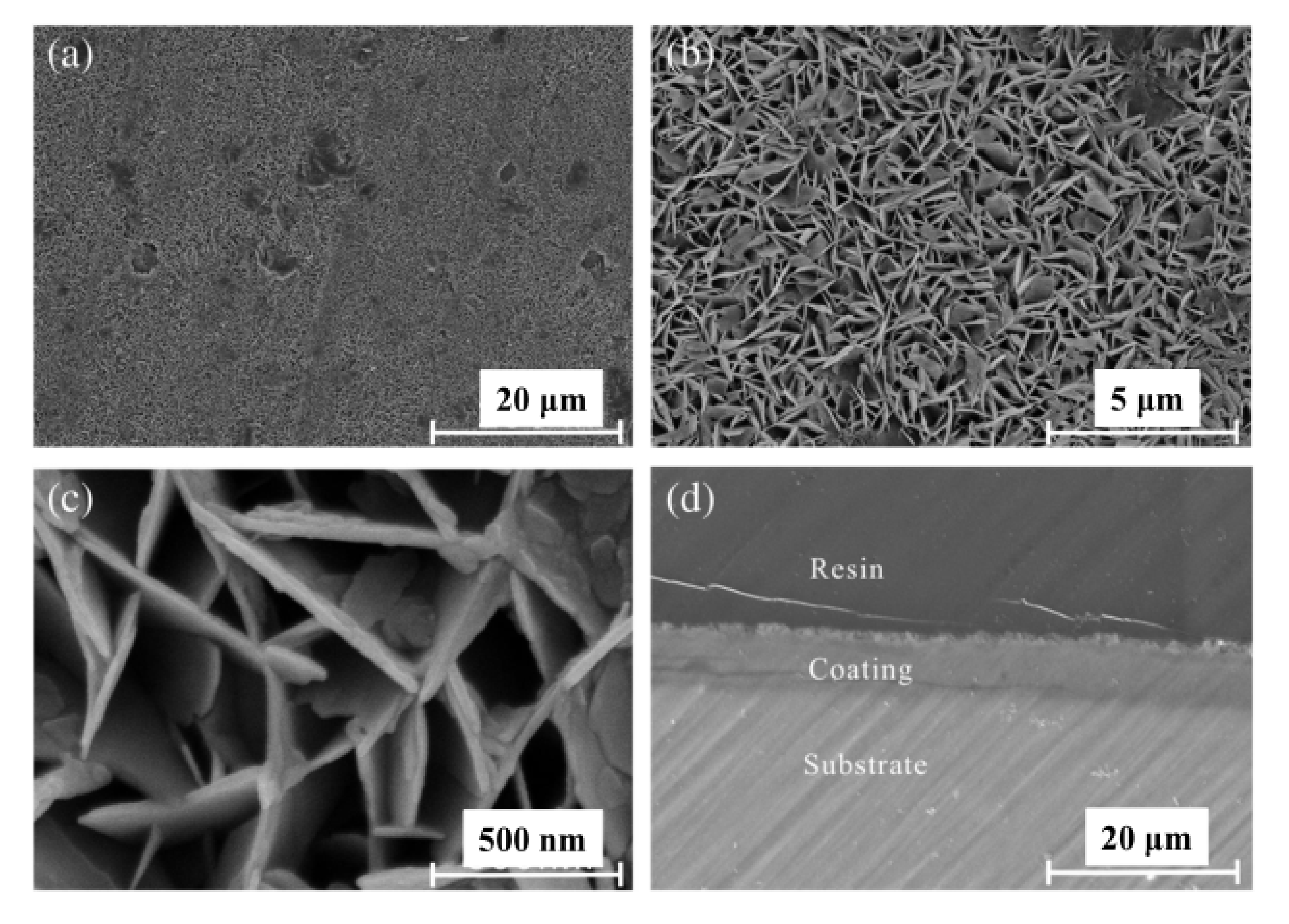 Coatings 11 01316 g002