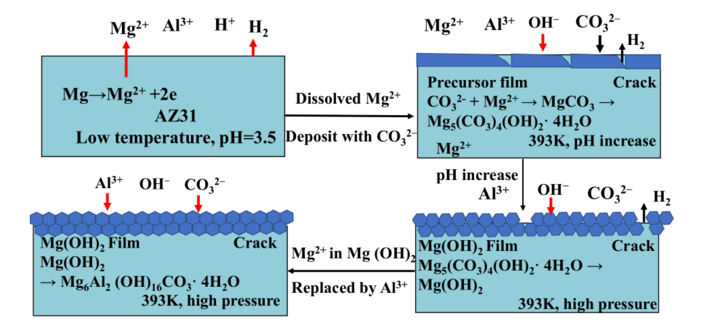 Coatings 11 01316 g005