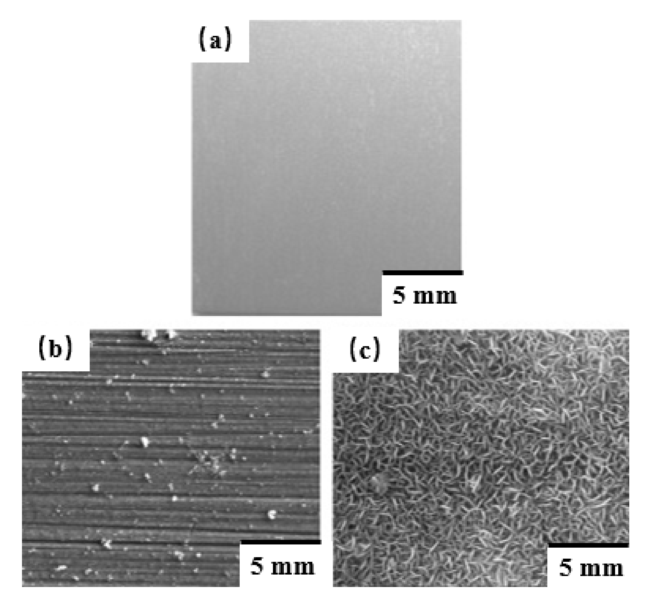 Coatings 11 01316 g007