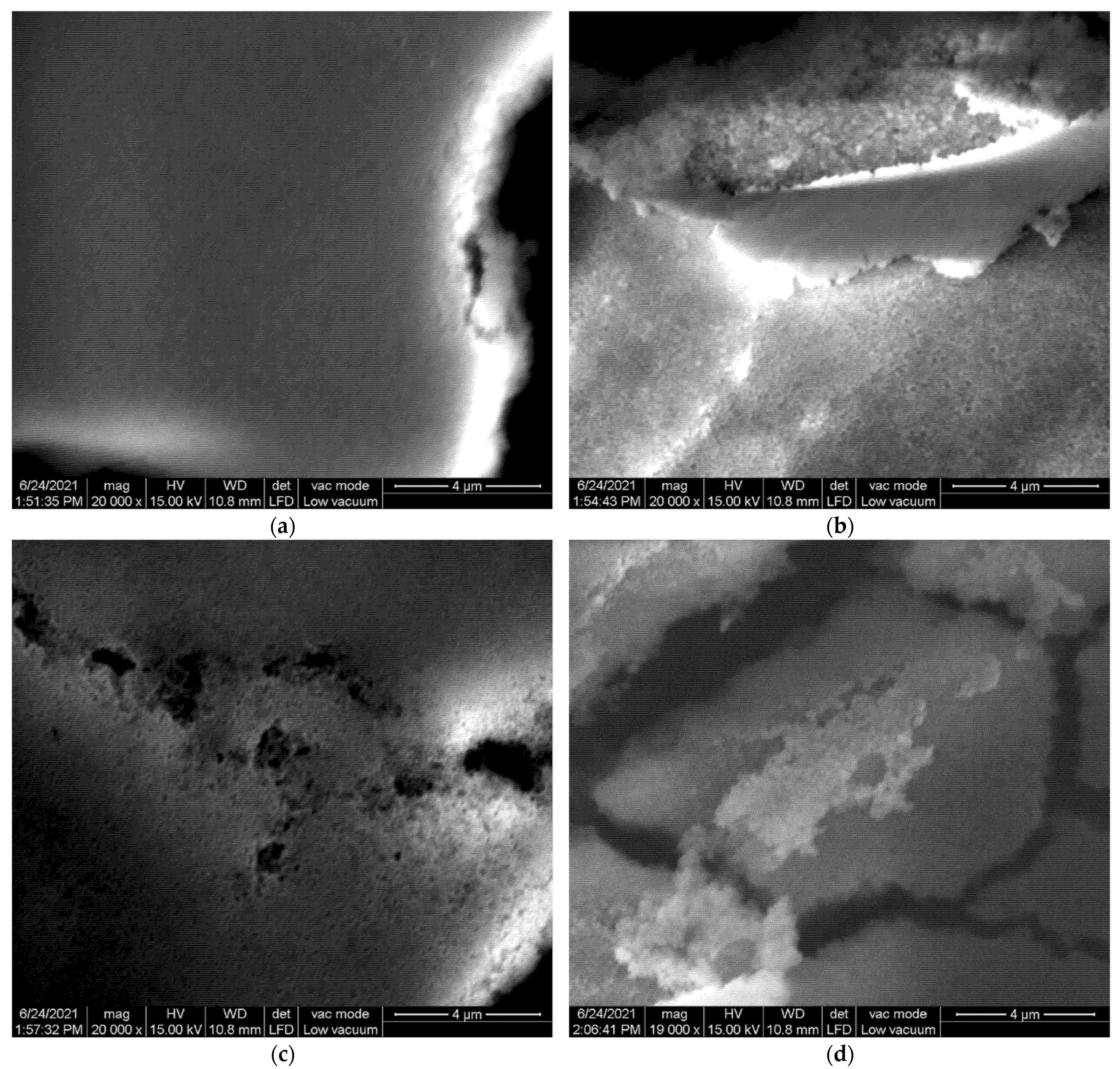 Coatings 11 01319 g004 550
