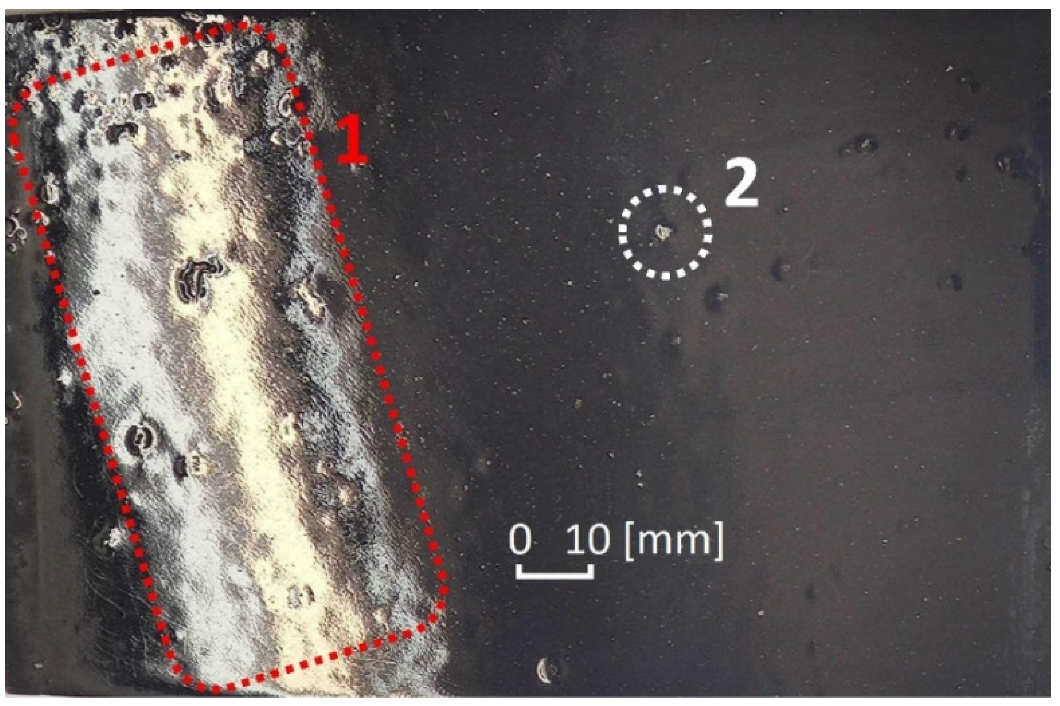Coatings 11 01320 g002 550