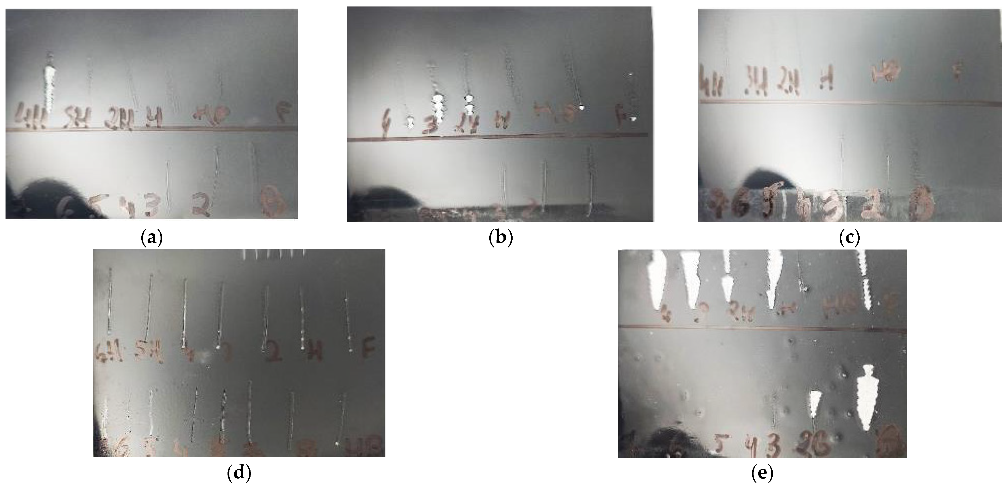 Coatings 11 01320 g006 550