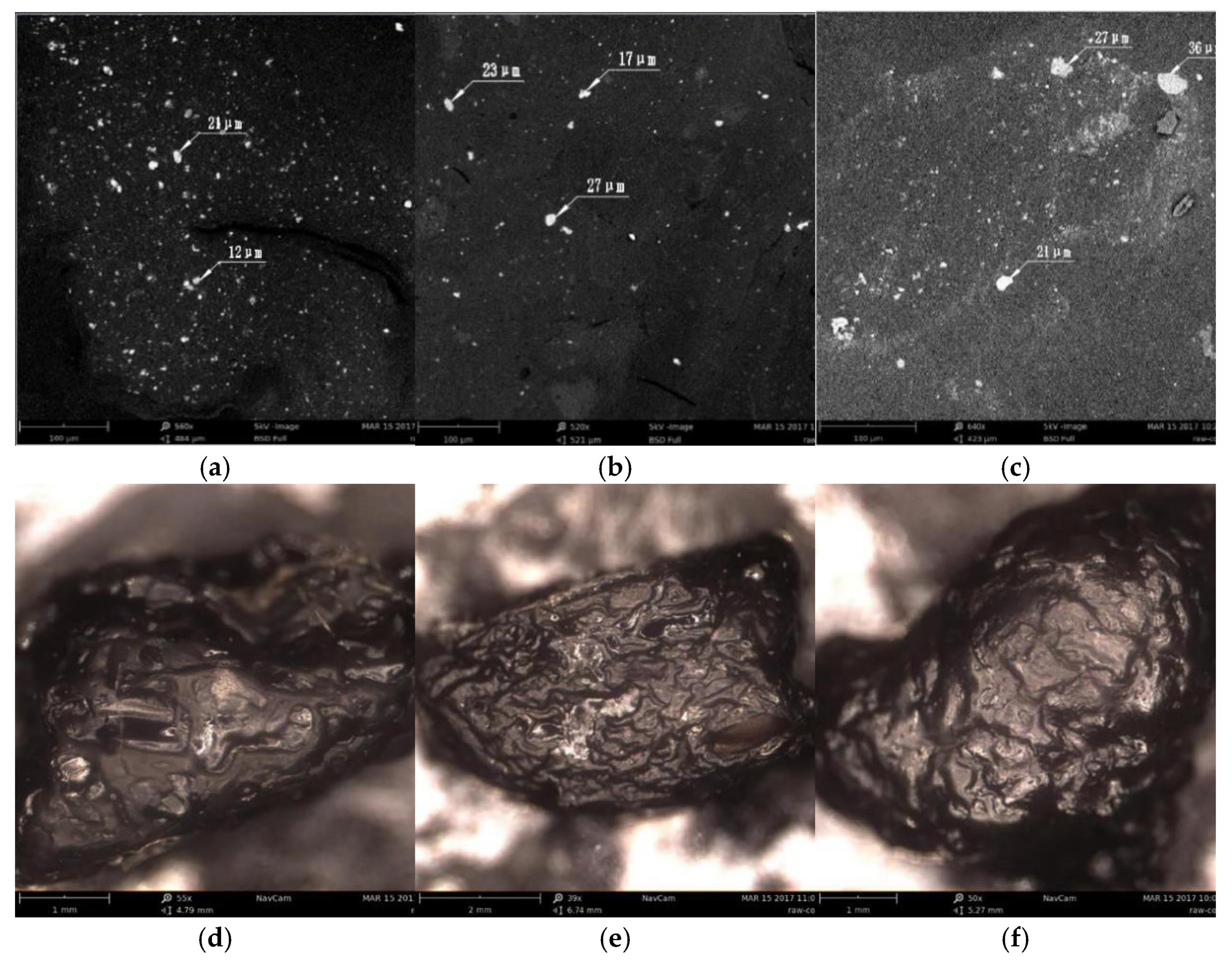 Coatings 11 01321 g004 550