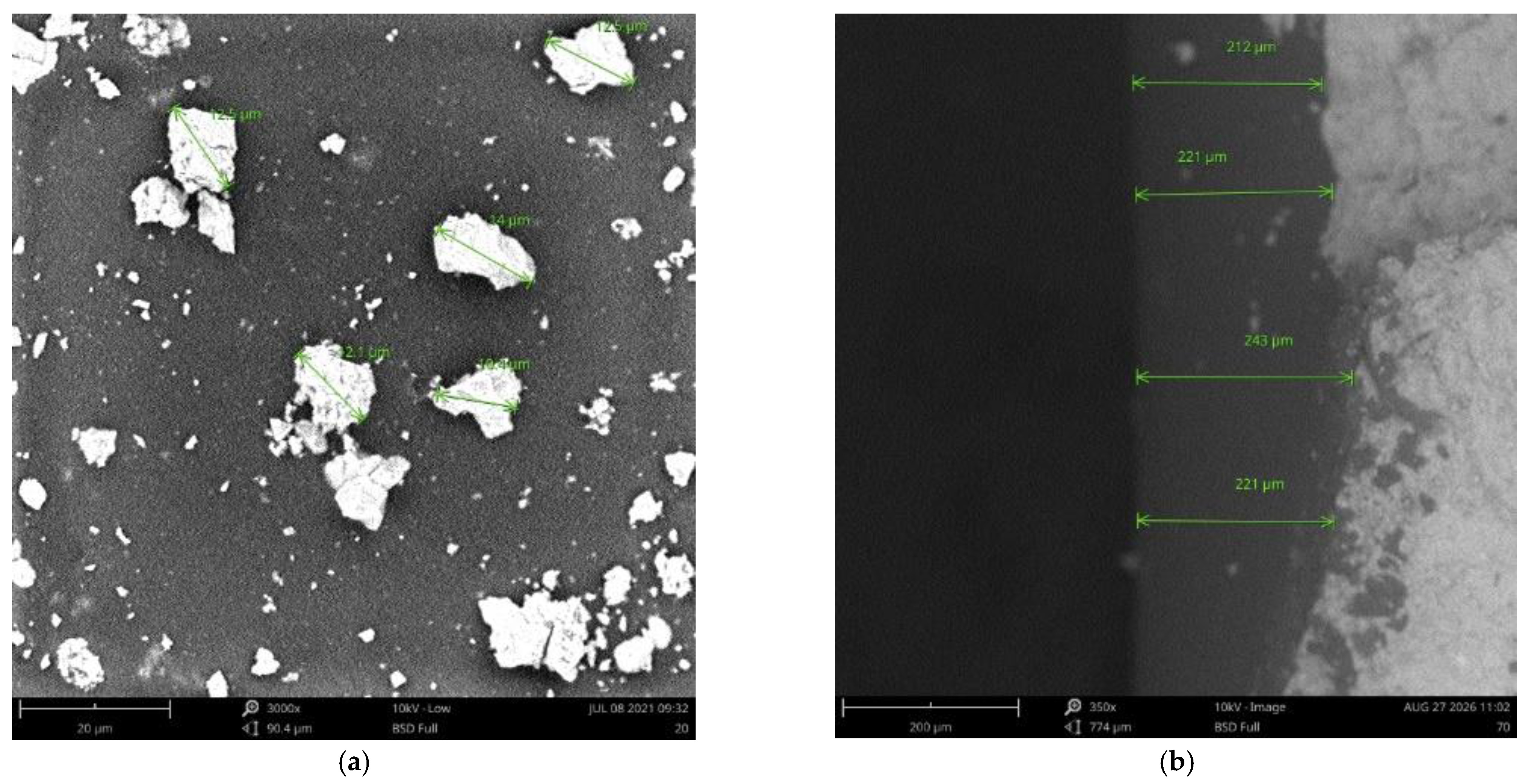 Coatings 11 01321 g005 550