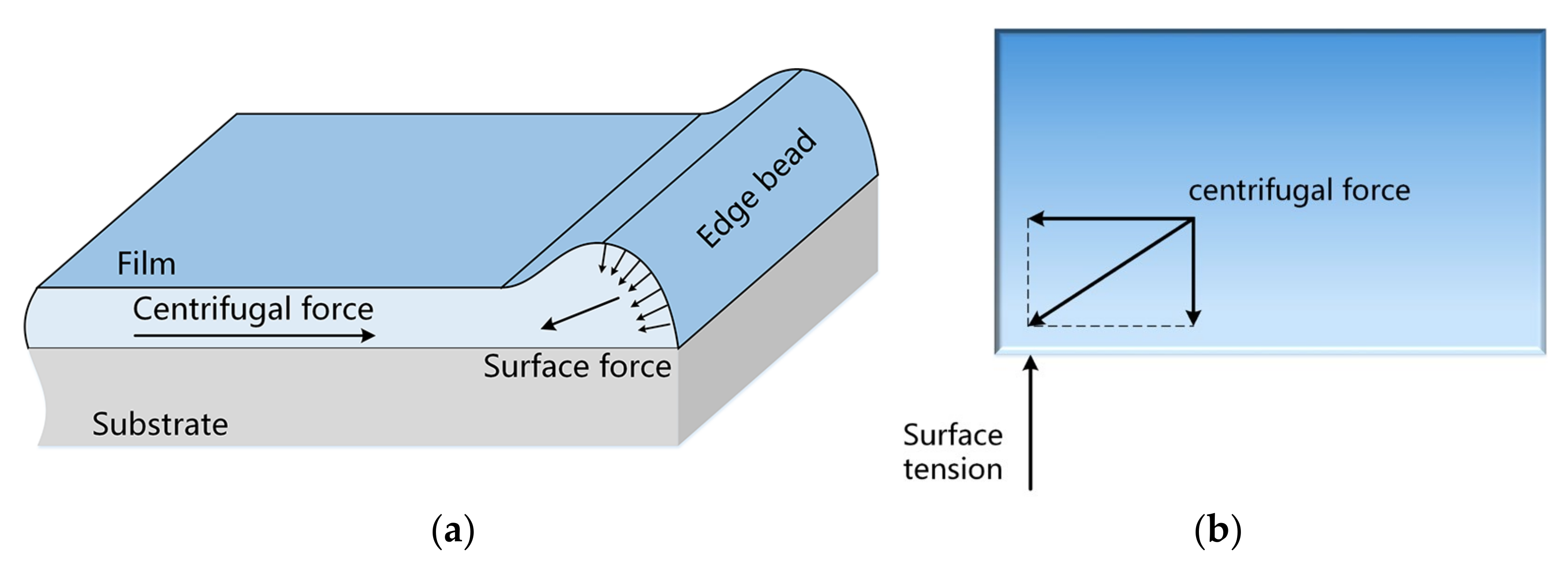 Coatings Free FullText Evaporation Effect on Thickness