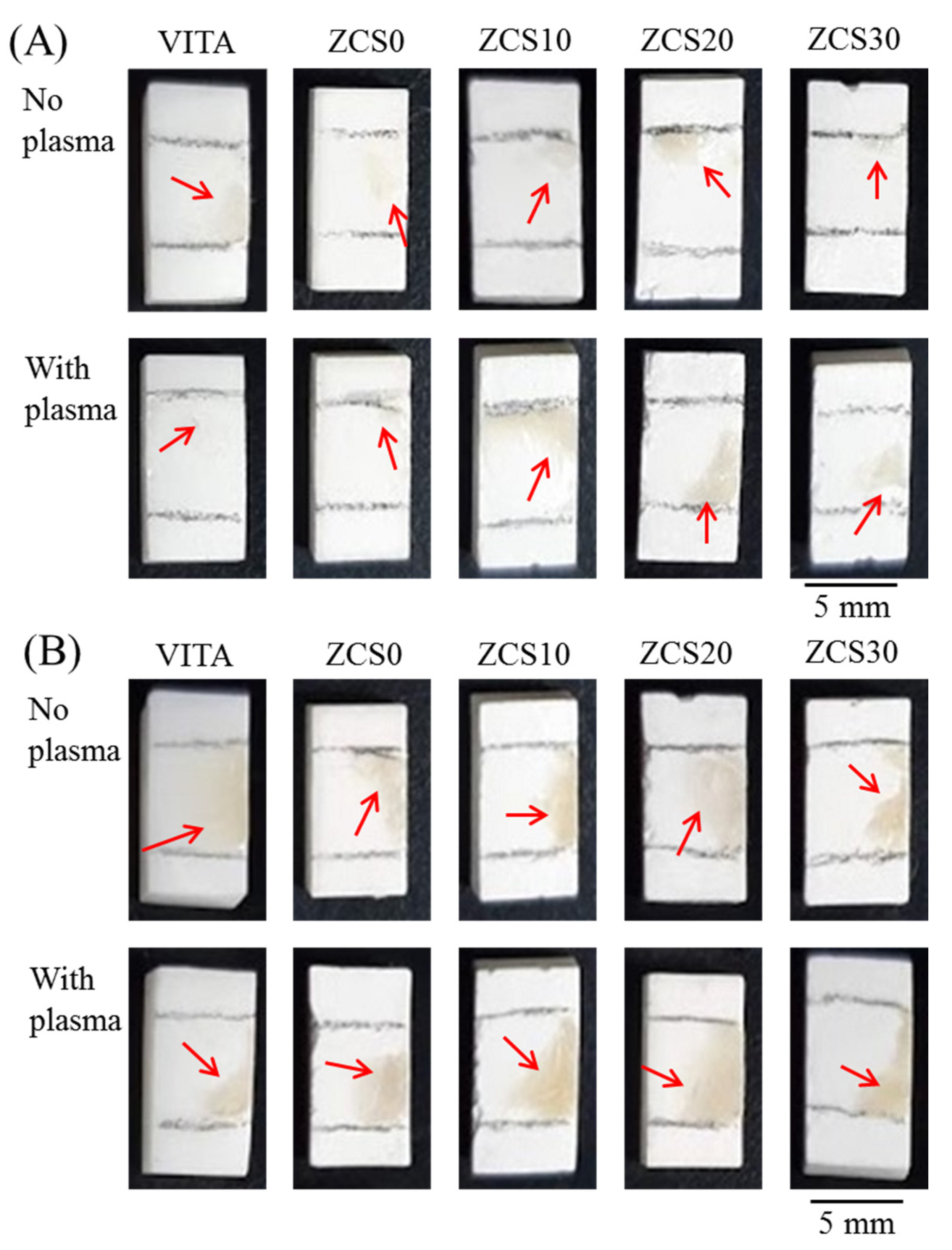 Coatings 11 01326 g007