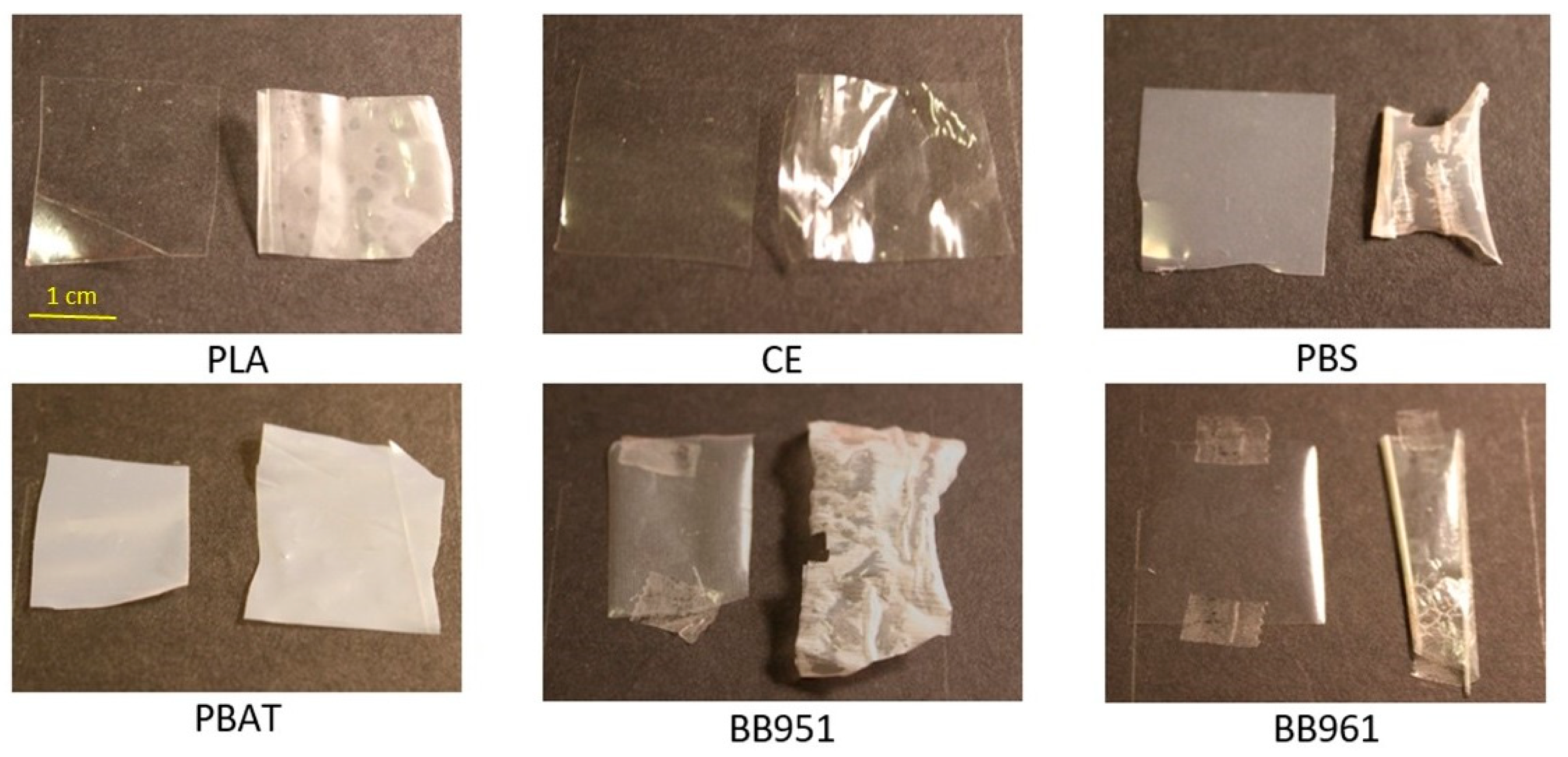 Coatings 11 01330 g001 550