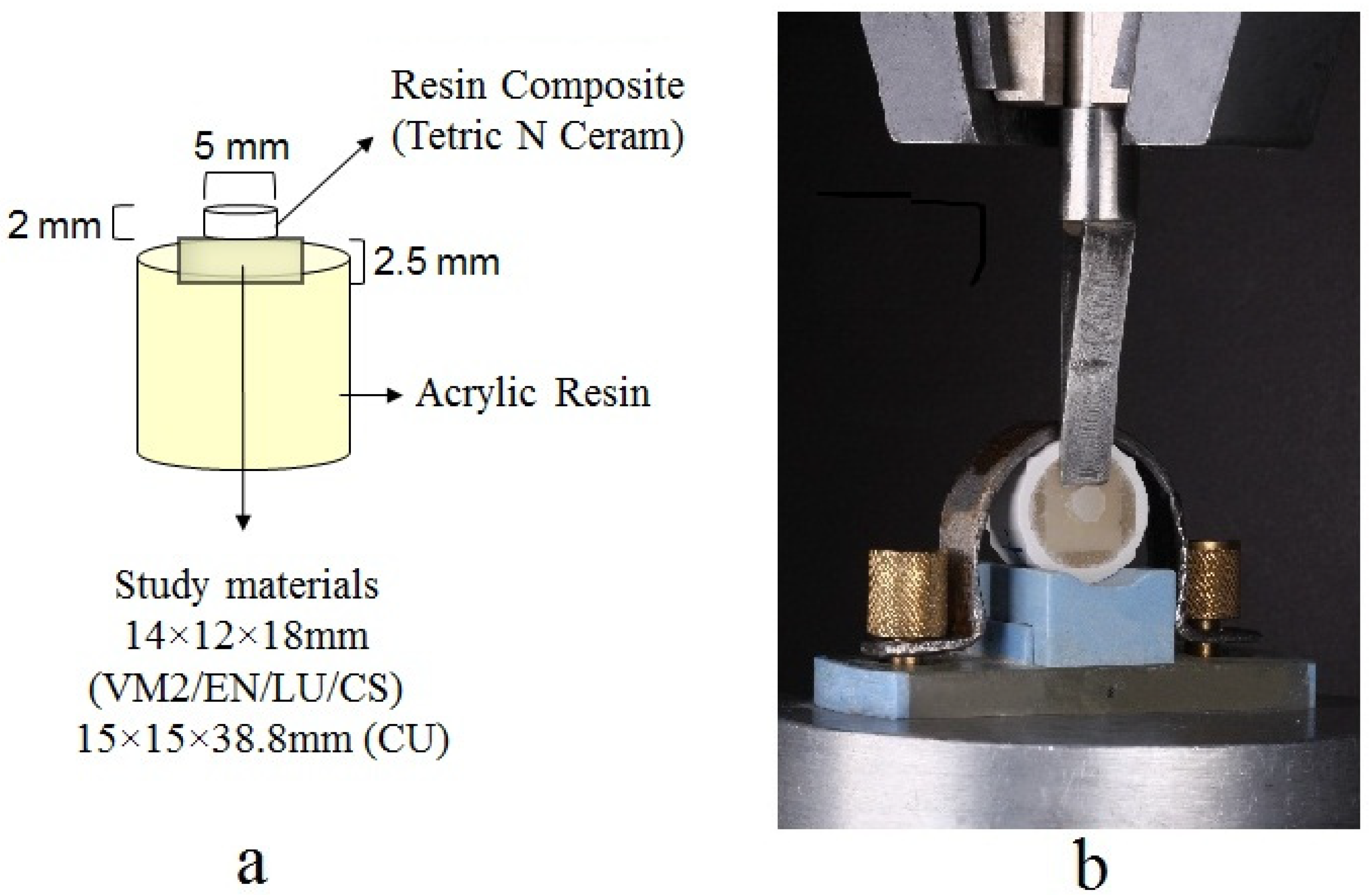 Coatings 11 01331 g002