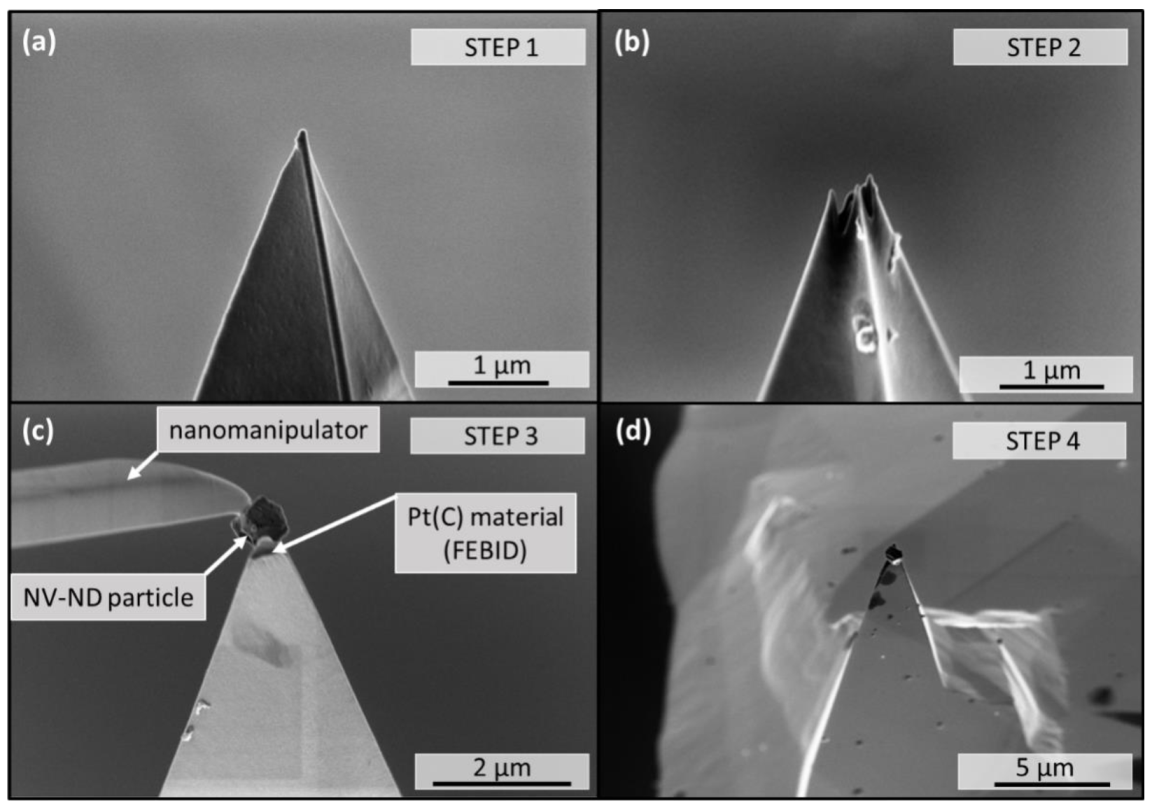 Coatings 11 01332 g001