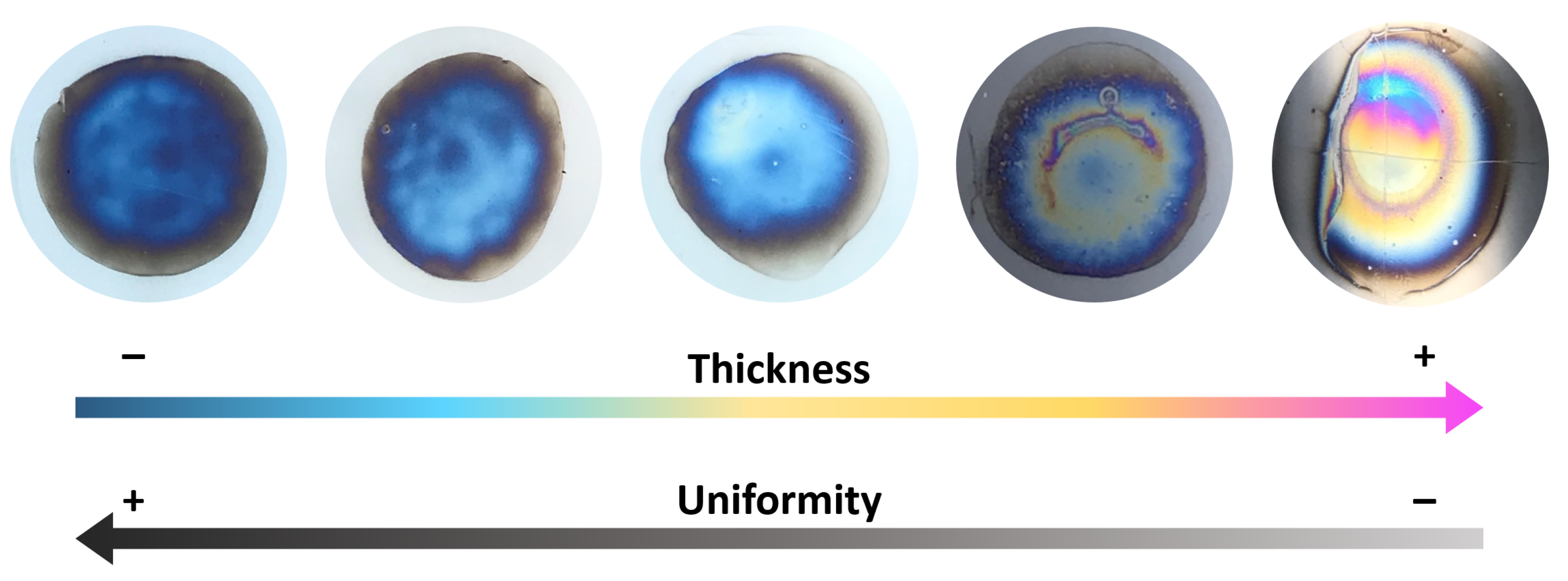 Coatings 11 01336 g010