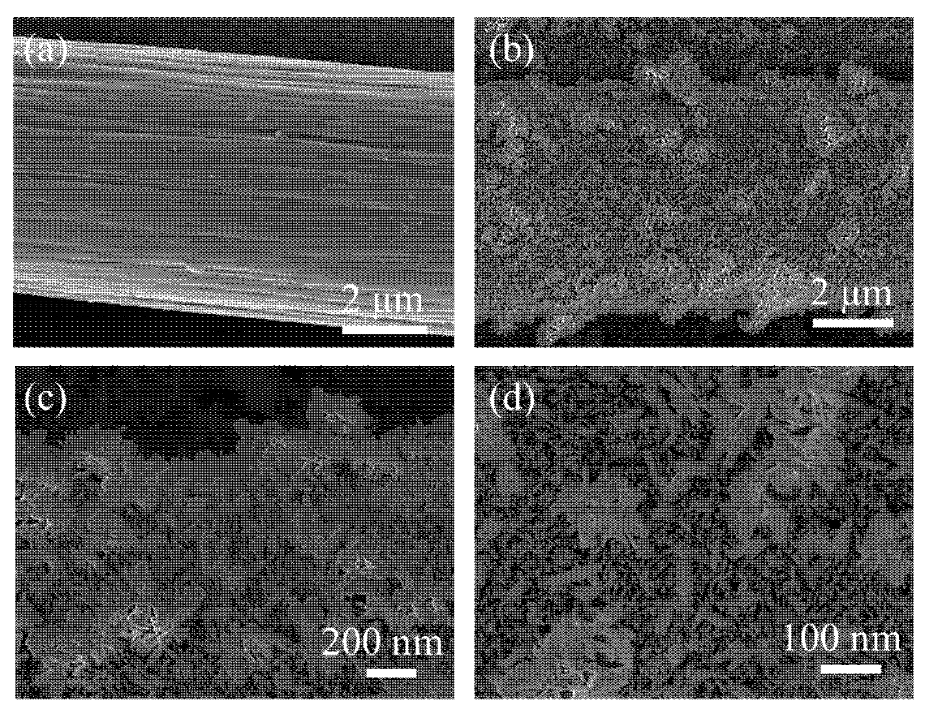 Coatings 11 01337 g002