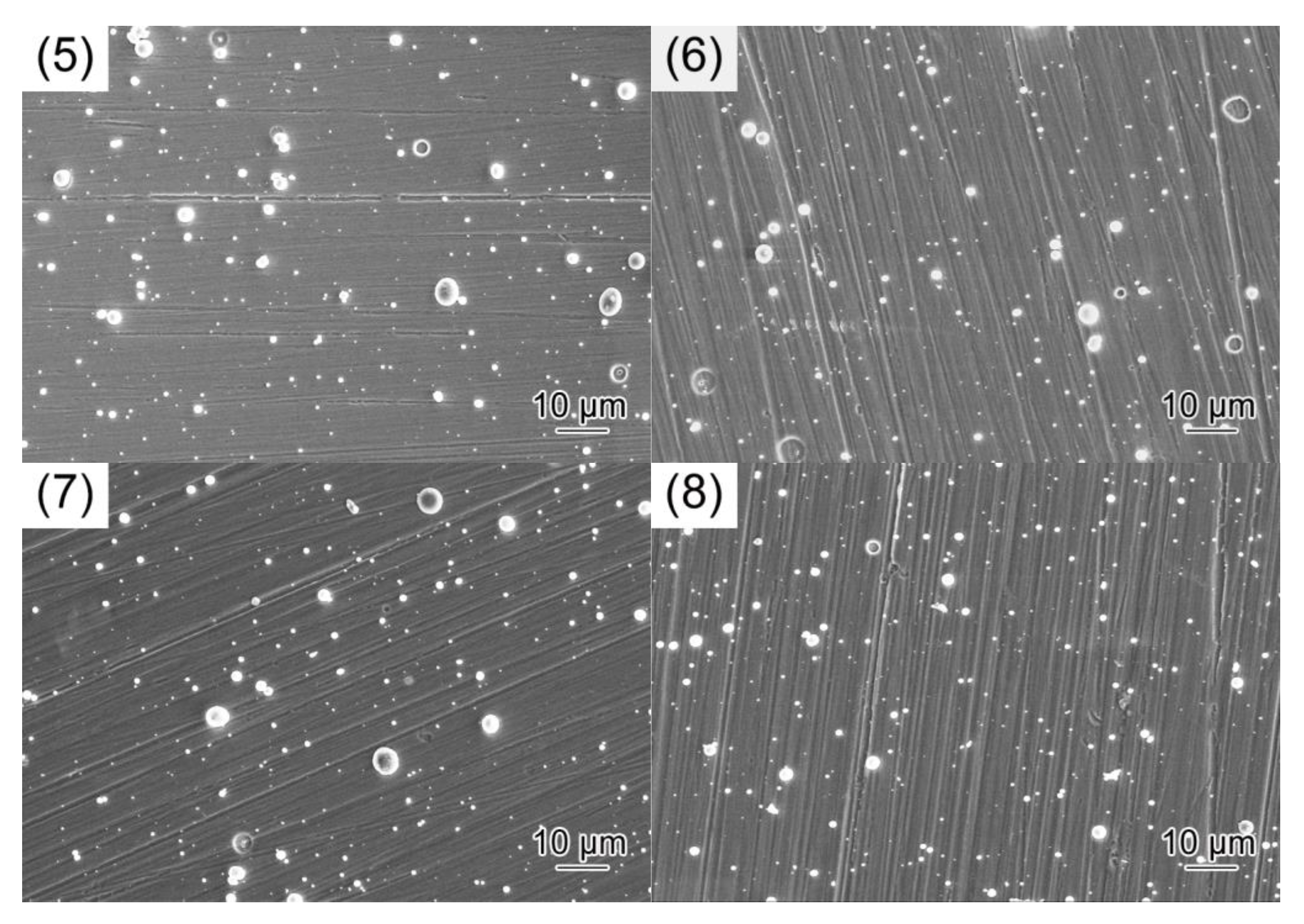 Coatings 11 01342 g001b