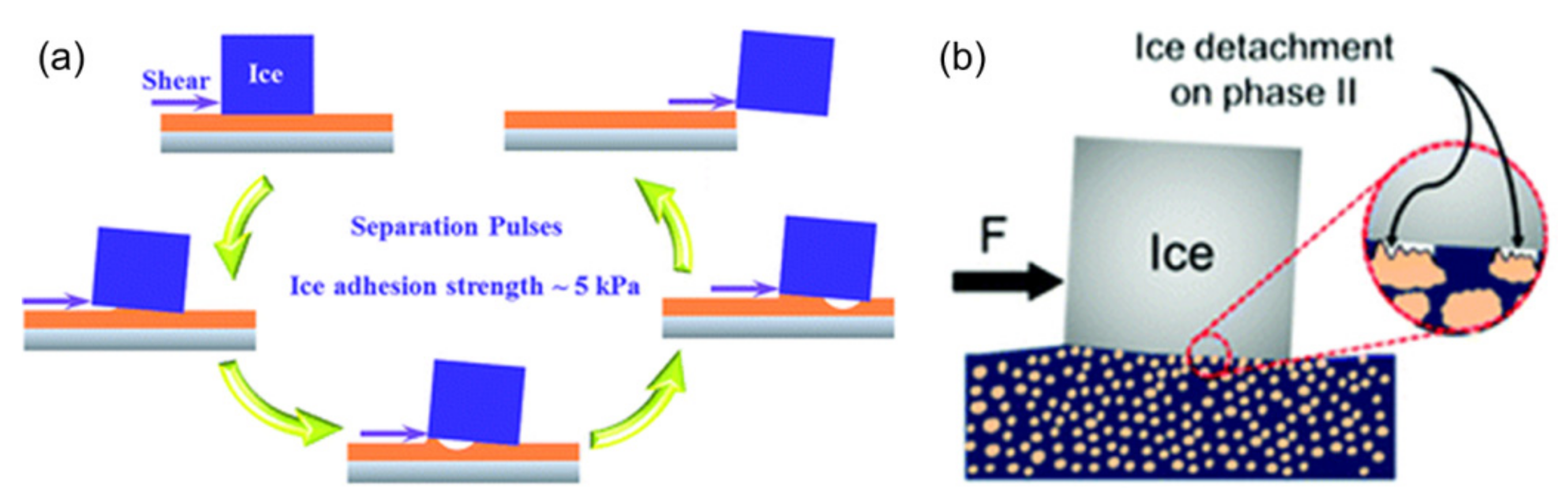 Coatings 11 01343 g005 550