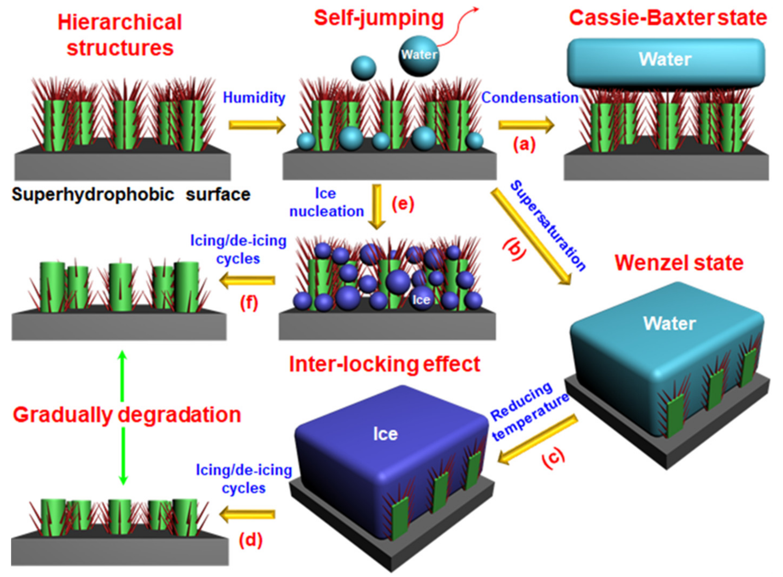 Coatings 11 01343 g006 550