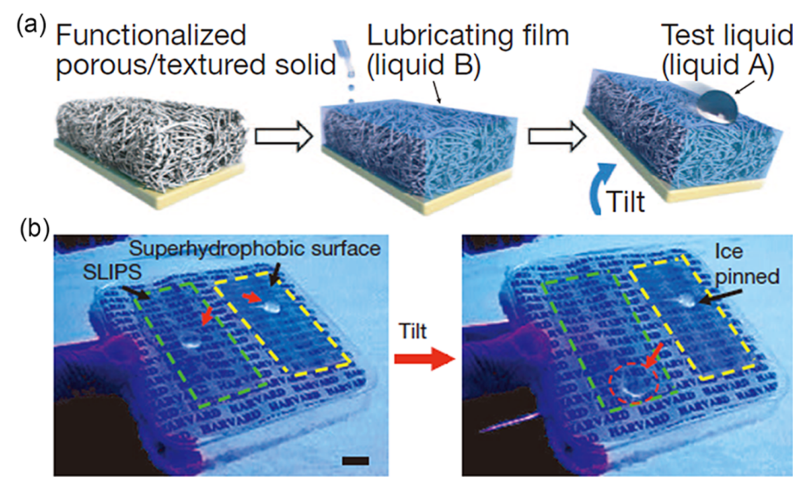 Coatings 11 01343 g008 550
